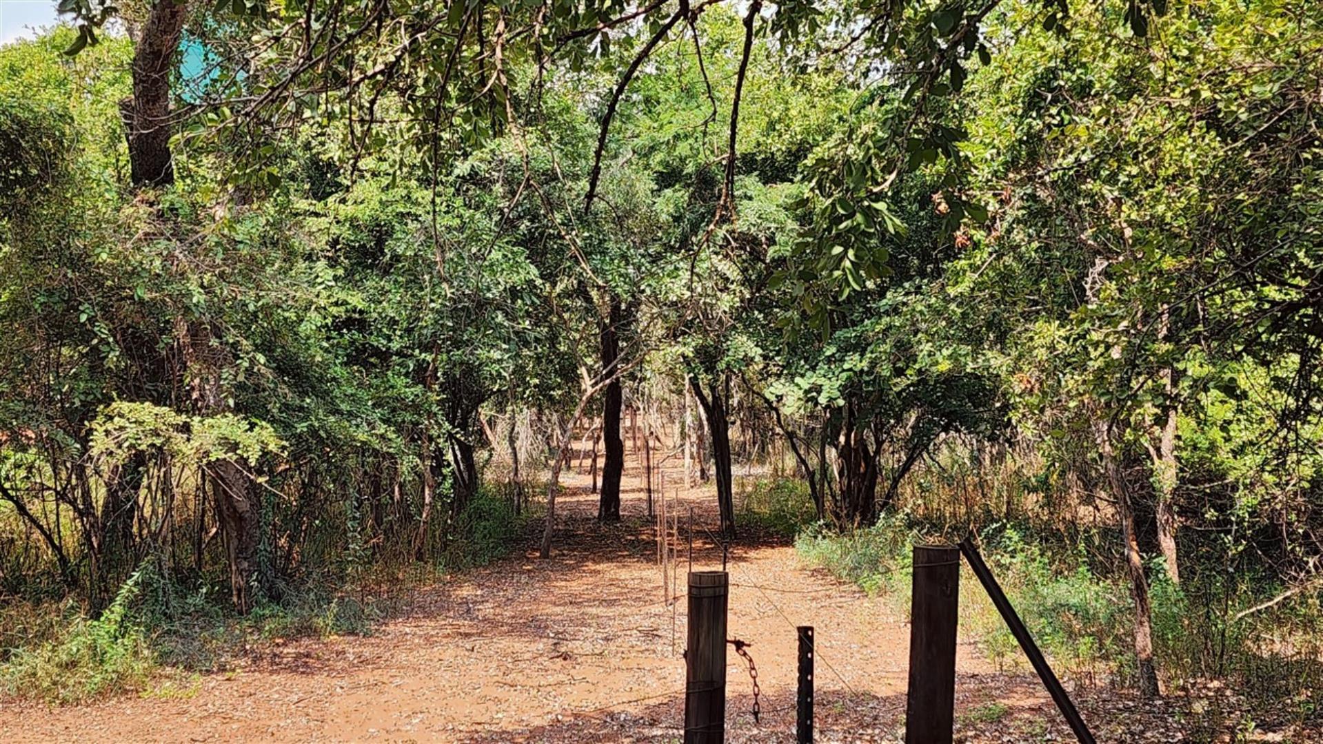 739752_Cattle_Camp_1.jpg