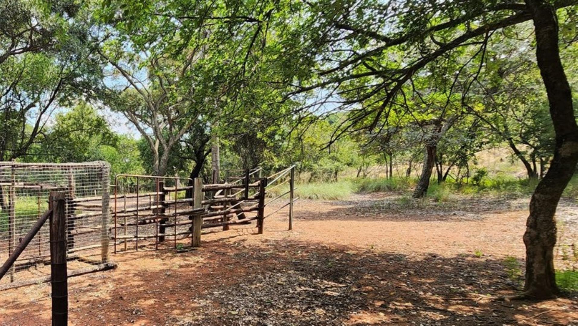 739752_Cattle_Handling_Facility.jpg