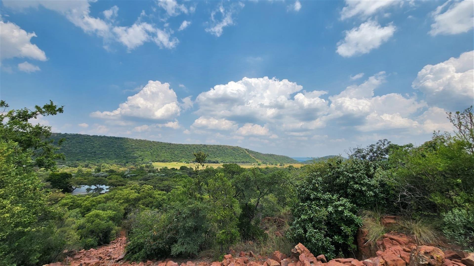 739752_Mountain_View.jpg