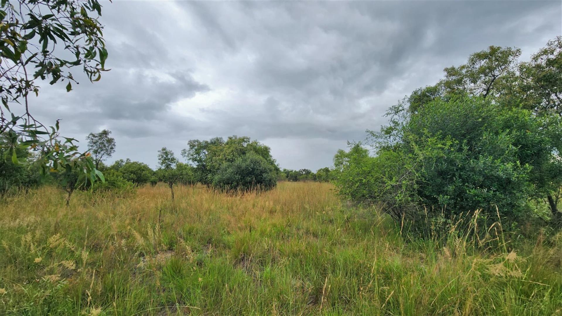 739790_Bushveld_1.jpg