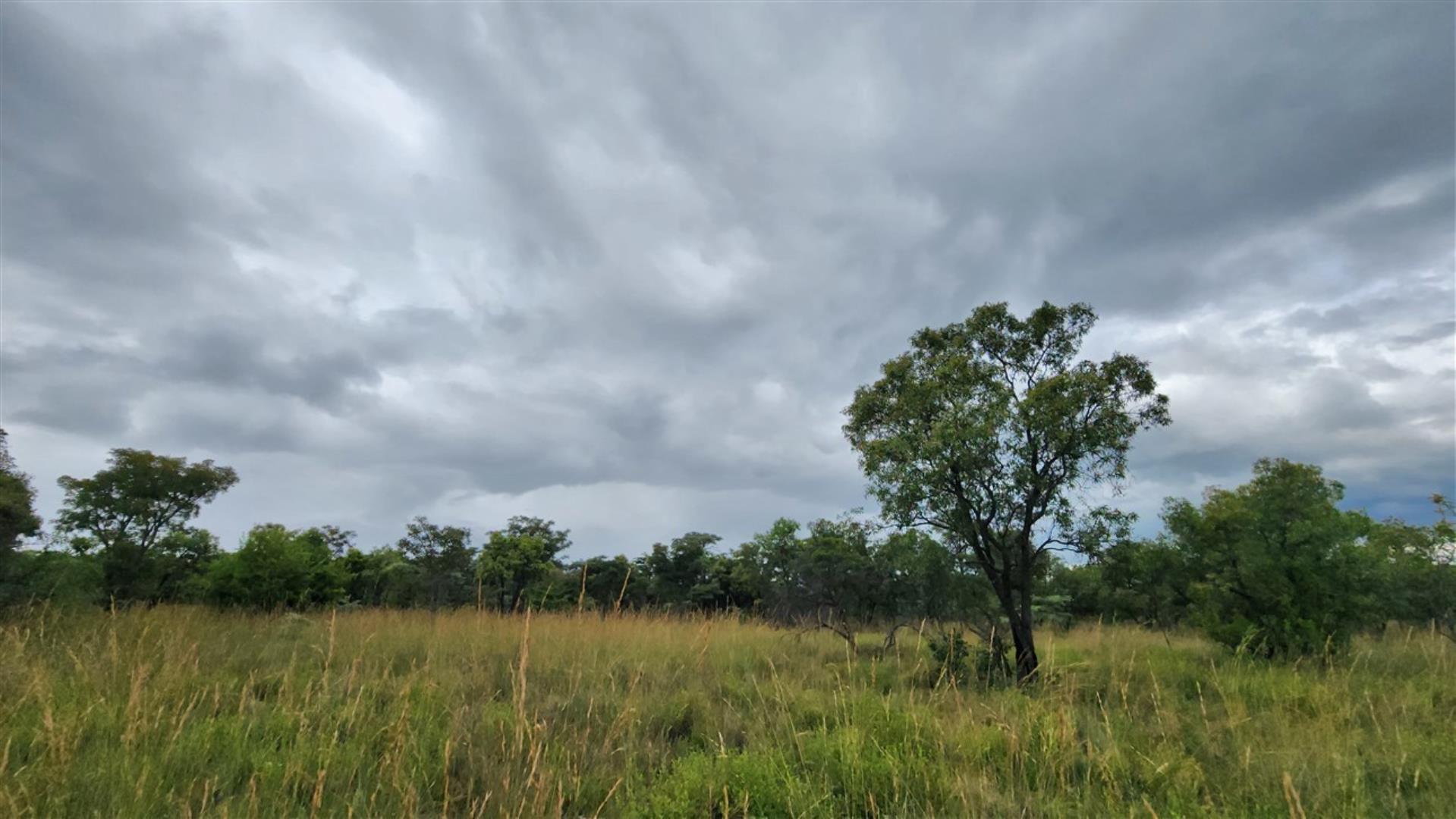 739790_Bushveld_2.jpg
