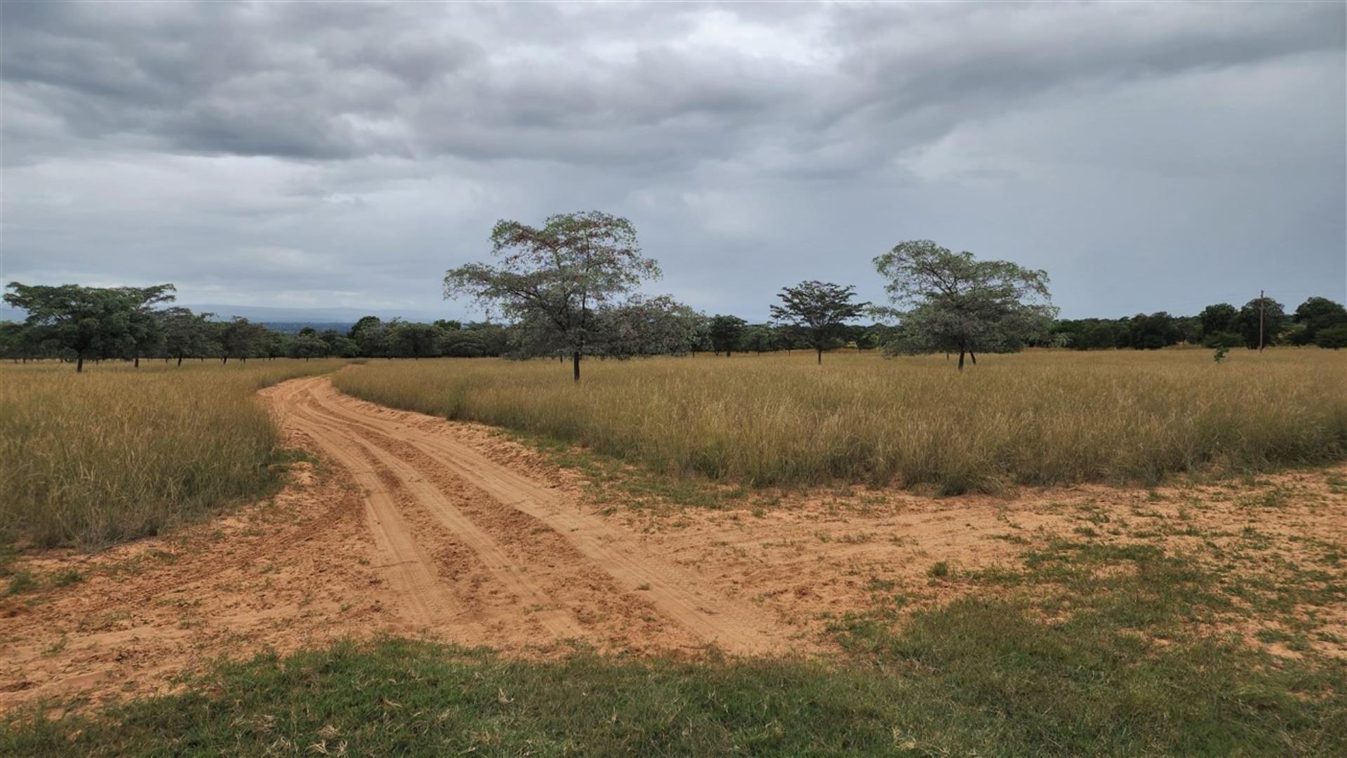 739790_Bushveld_3.jpg