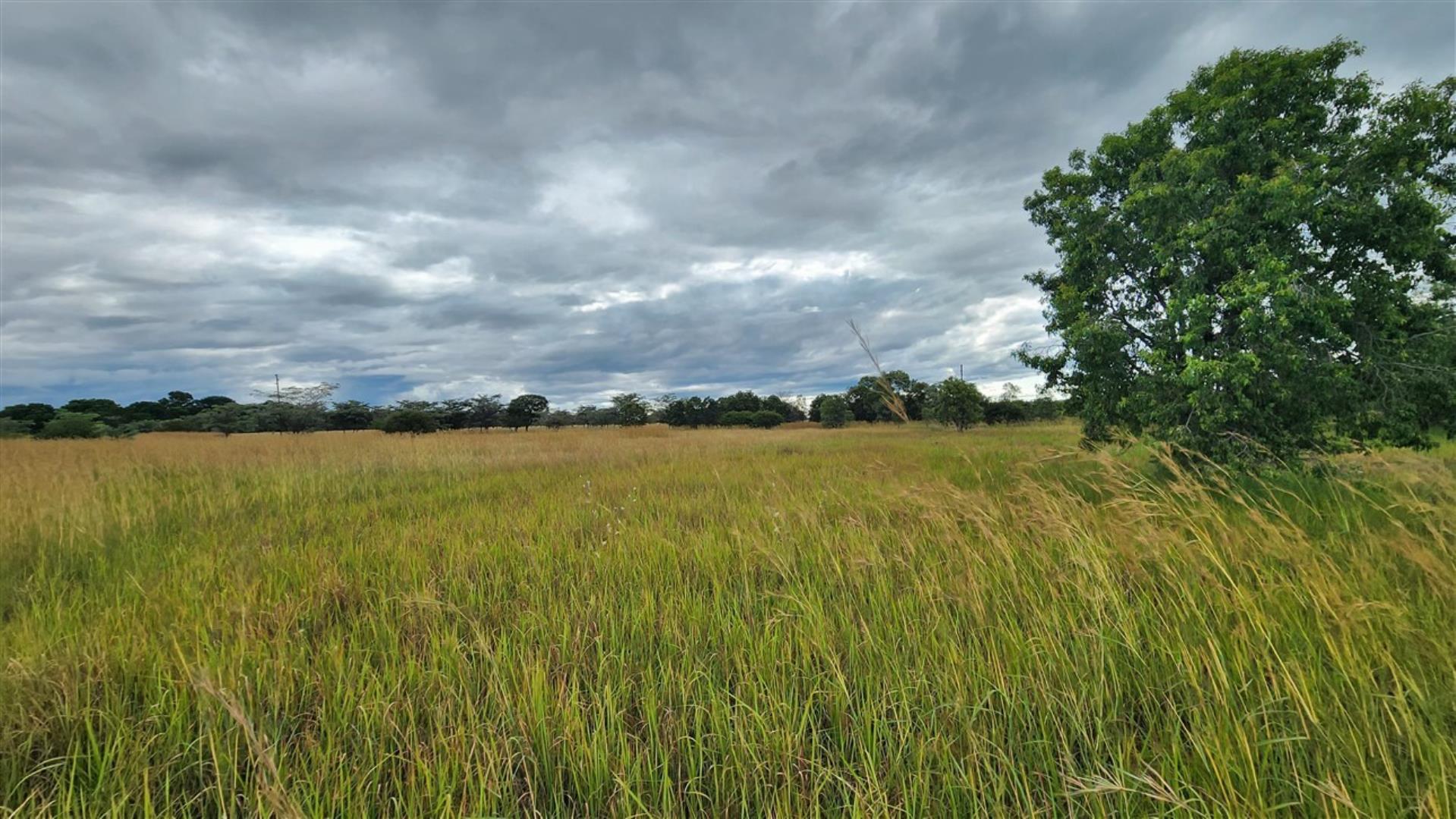 739790_Bushveld_5.jpg