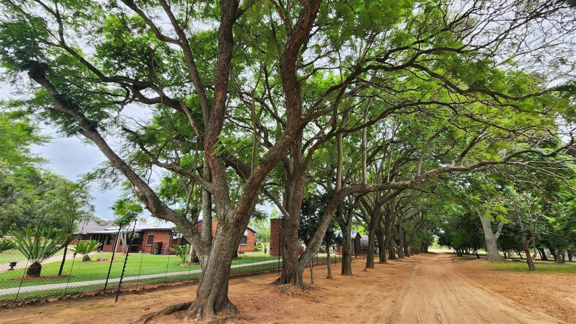 739790_Entrance_road.jpg