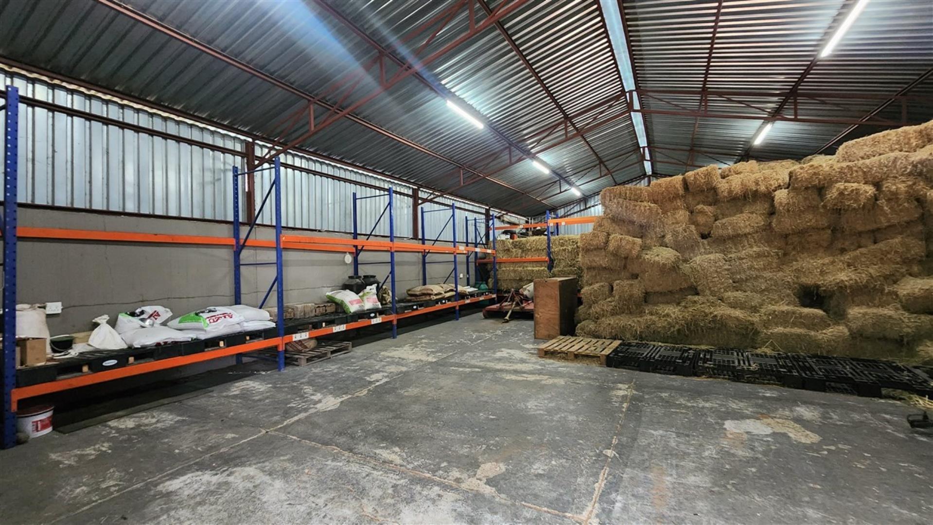 739790_New_Storage_Shed_Inside.jpg