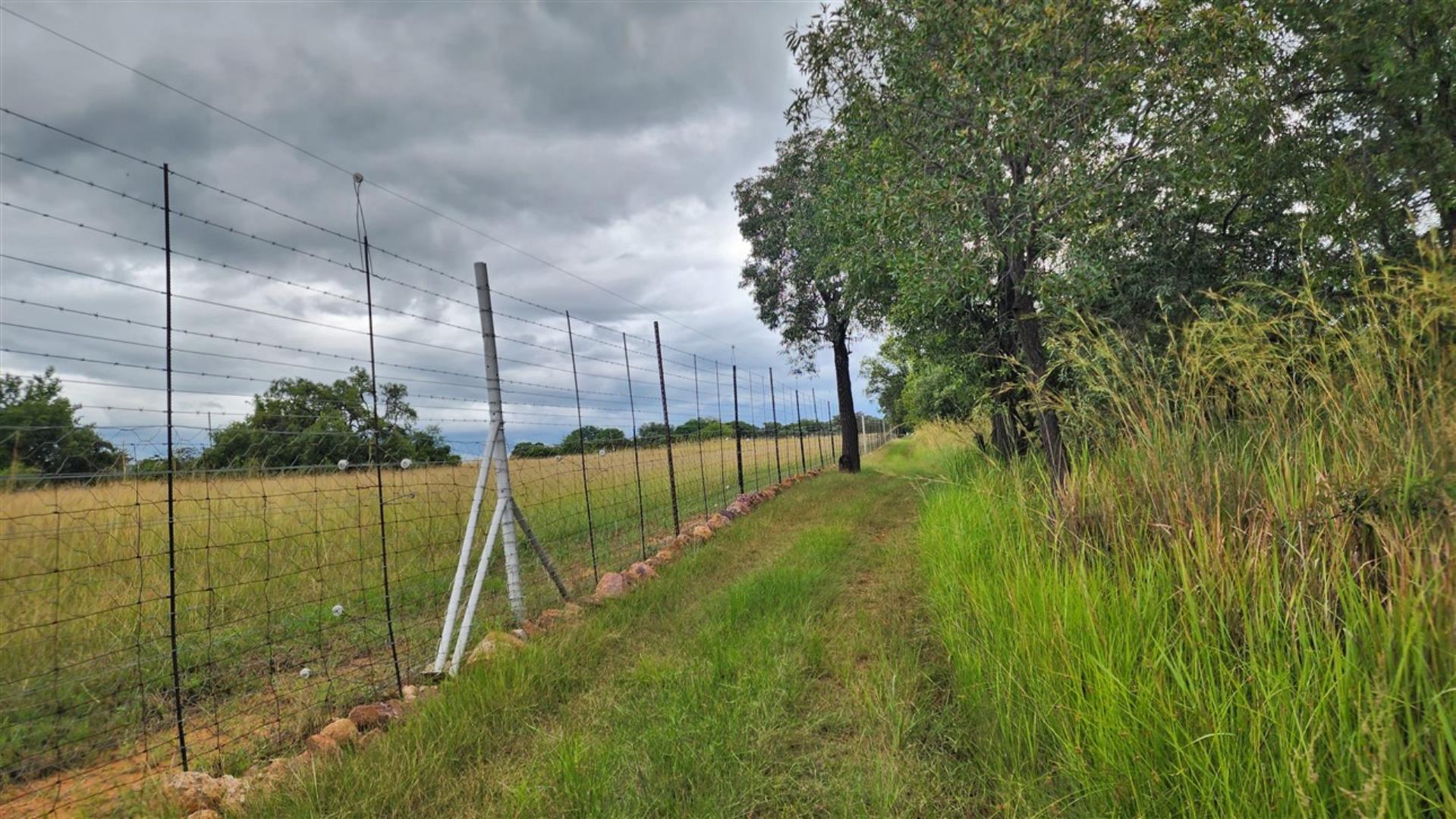739790_Perimeter_Fence_2.jpg