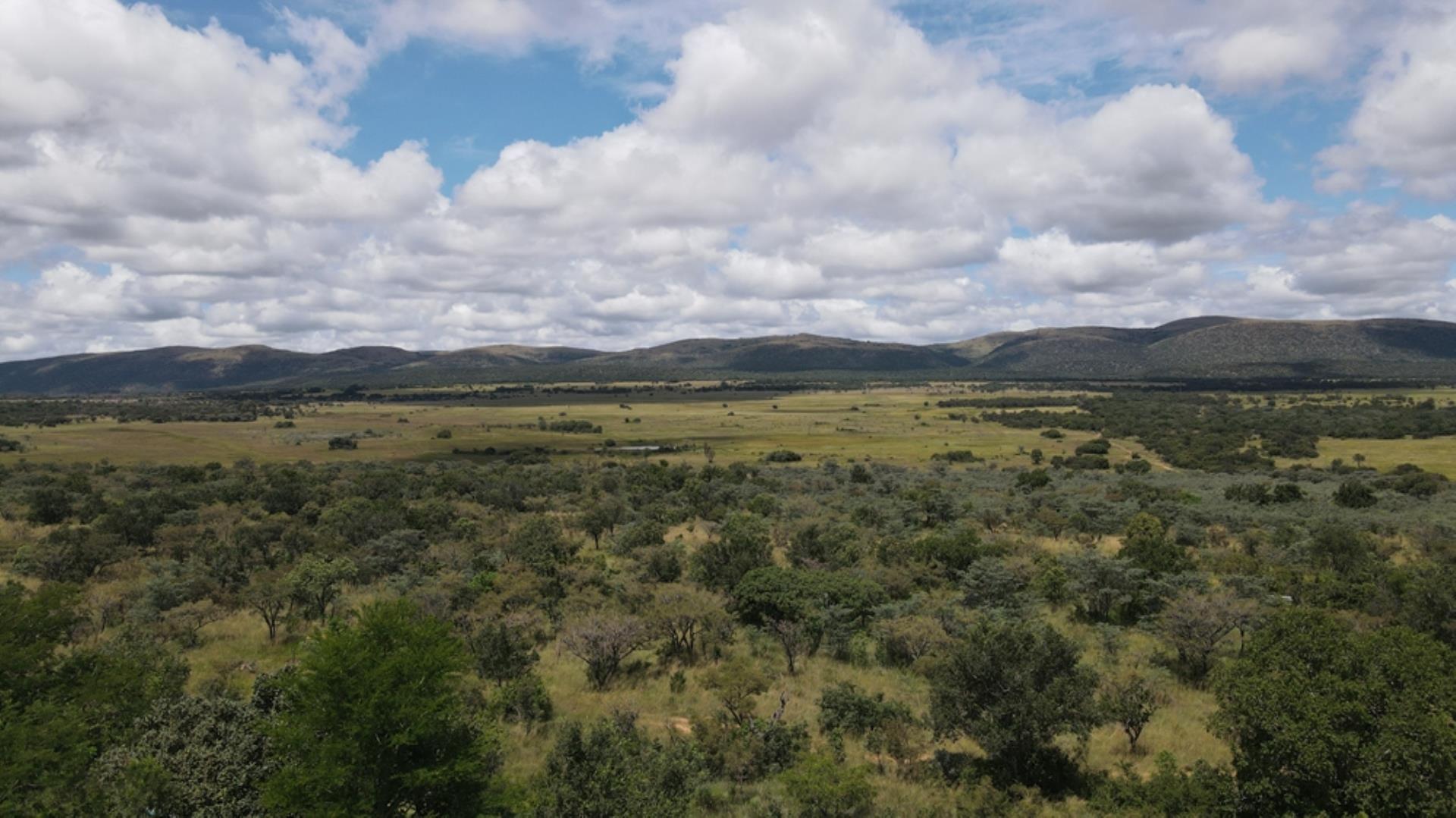 740697_Game_Farm_FOR_SALE_Naboomspruit_990ha_(2).jpeg