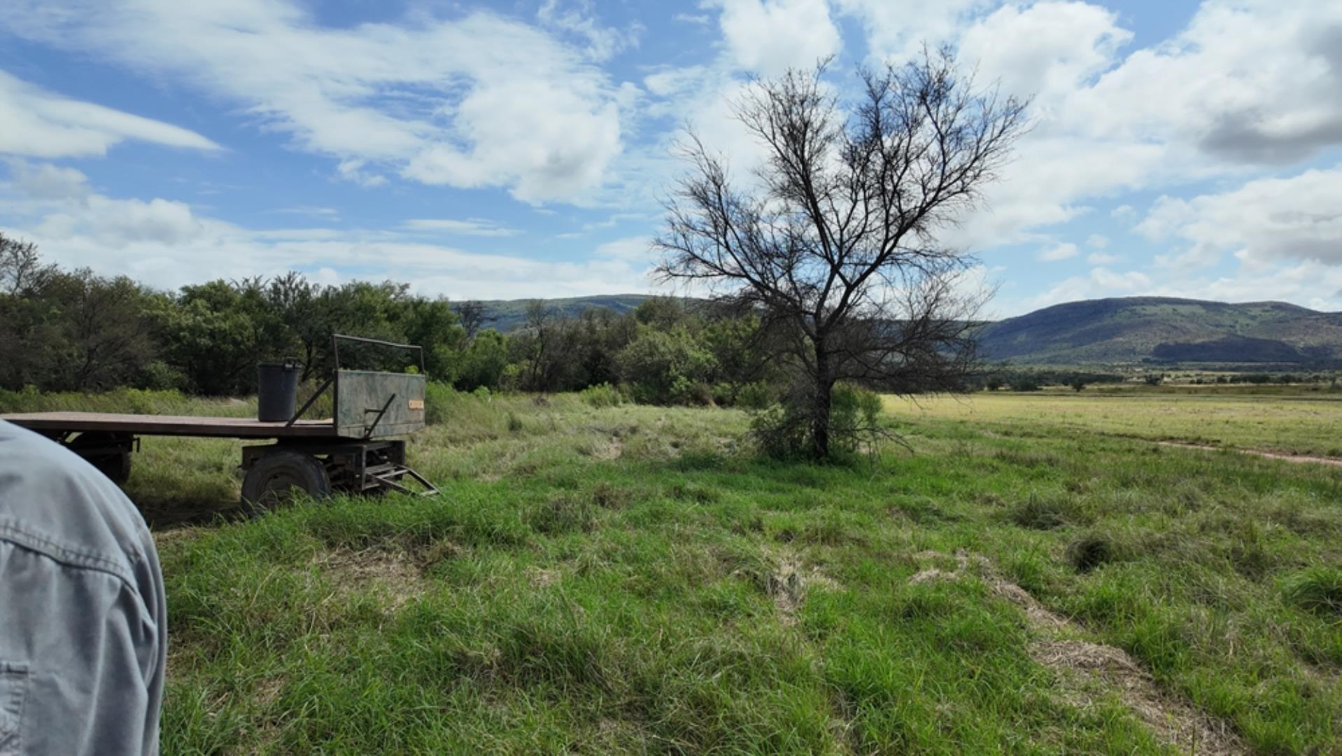 740697_Game_Farm_FOR_SALE_Naboomspruit_990ha_(32).jpeg