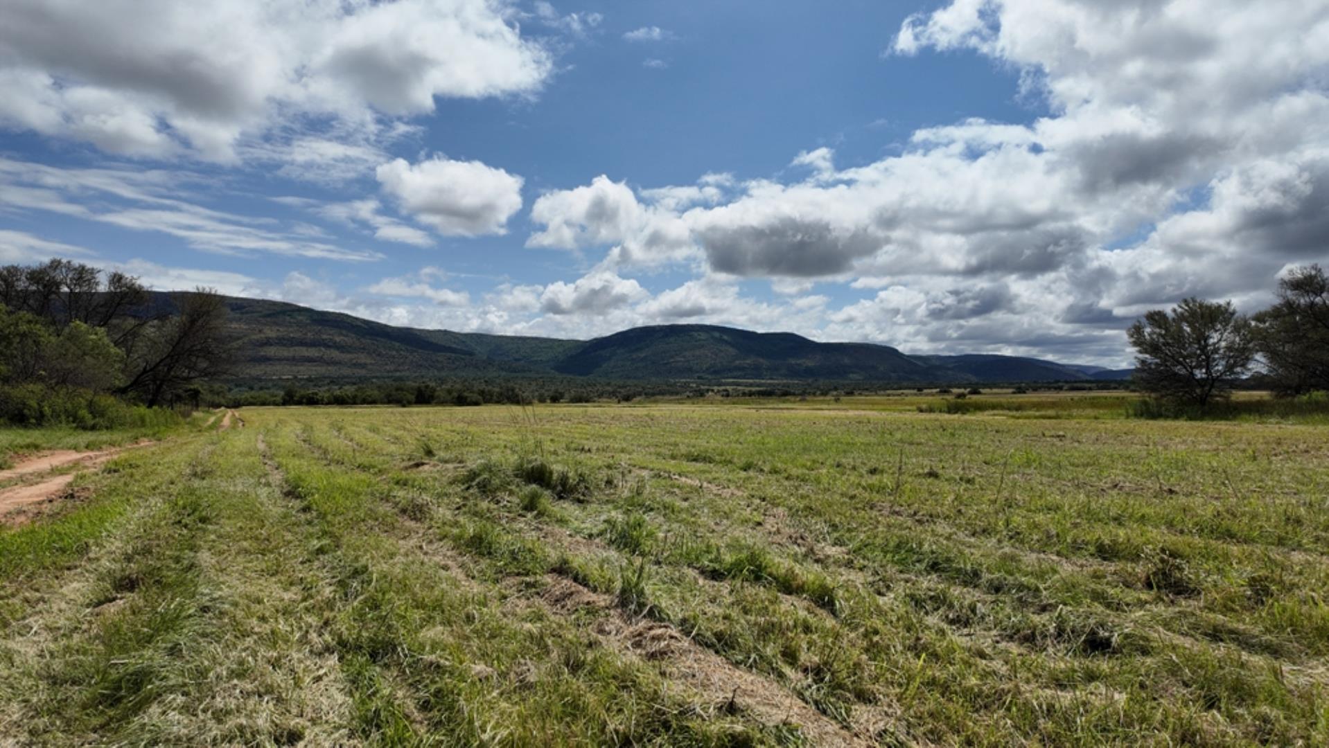 740697_Game_Farm_FOR_SALE_Naboomspruit_990ha_(33).jpeg
