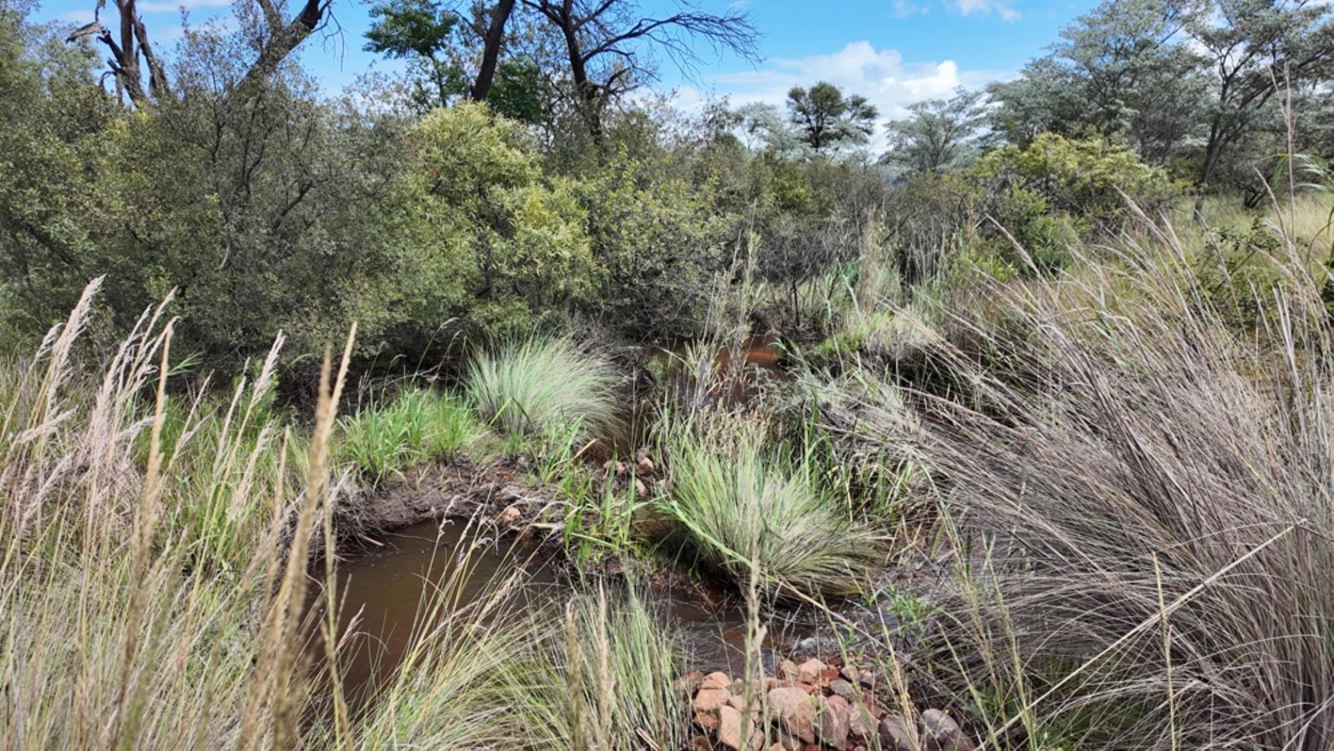 740697_Game_Farm_FOR_SALE_Naboomspruit_990ha_(34).jpeg
