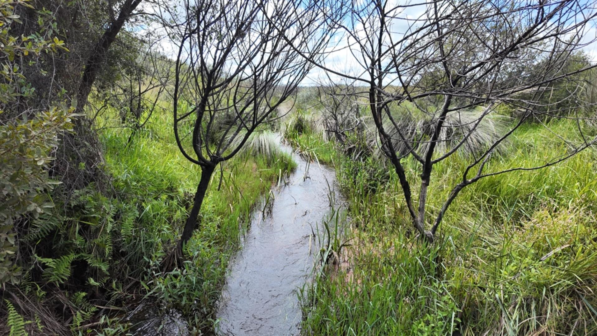 740697_Game_Farm_FOR_SALE_Naboomspruit_990ha_(35).jpeg