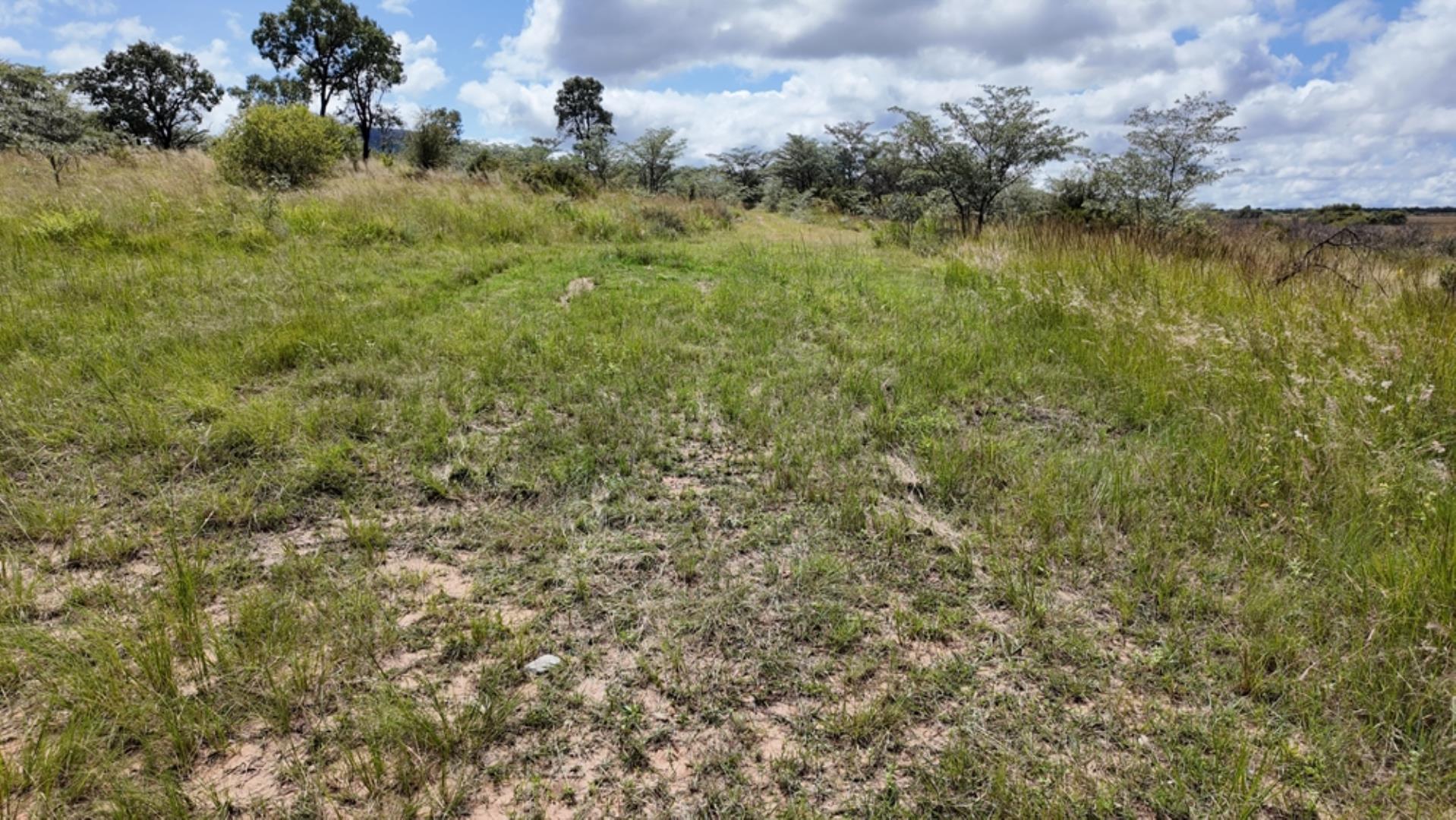 740697_Game_Farm_FOR_SALE_Naboomspruit_990ha_(36).jpeg