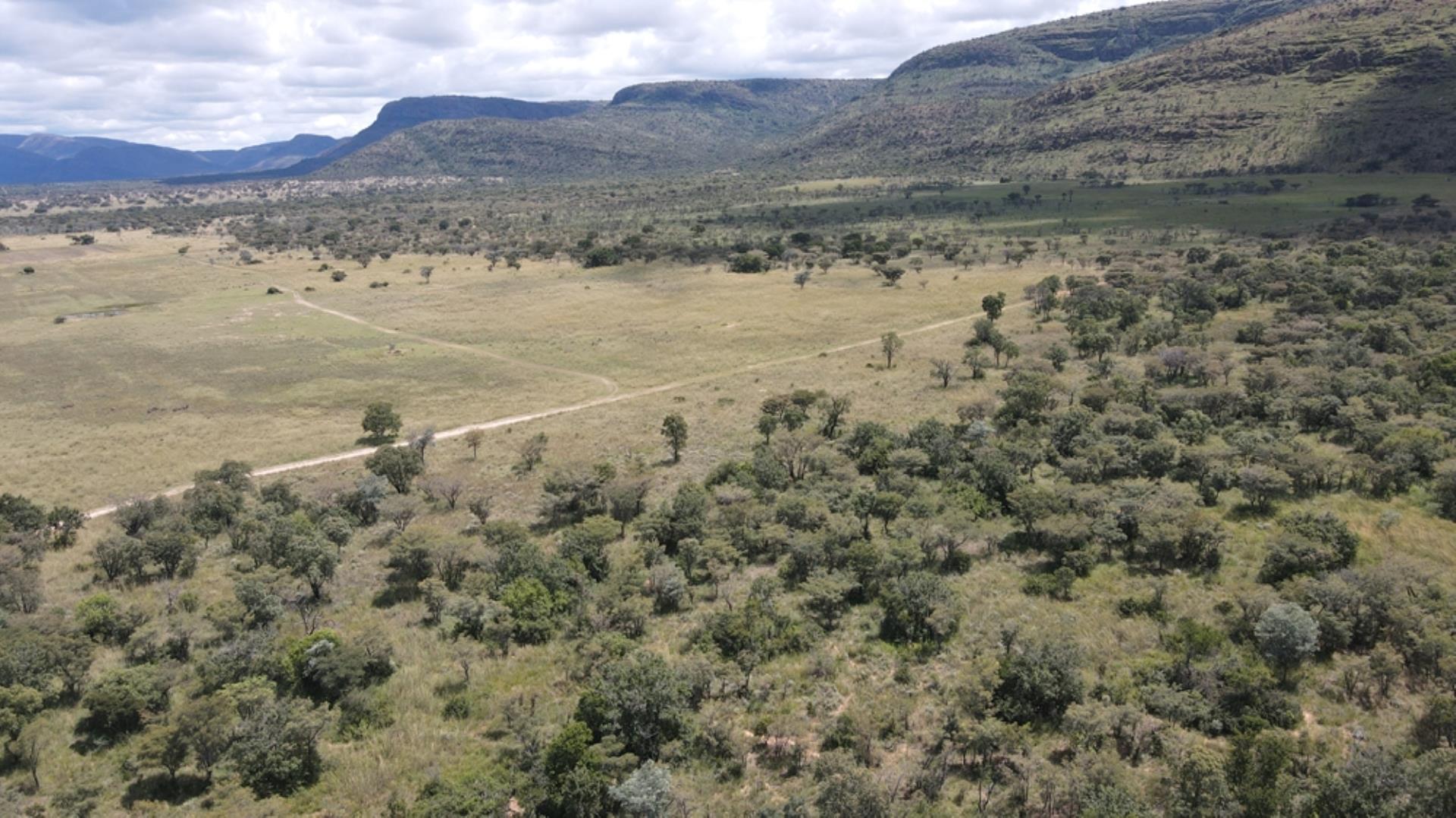 740697_Game_Farm_FOR_SALE_Naboomspruit_990ha_(5).jpeg