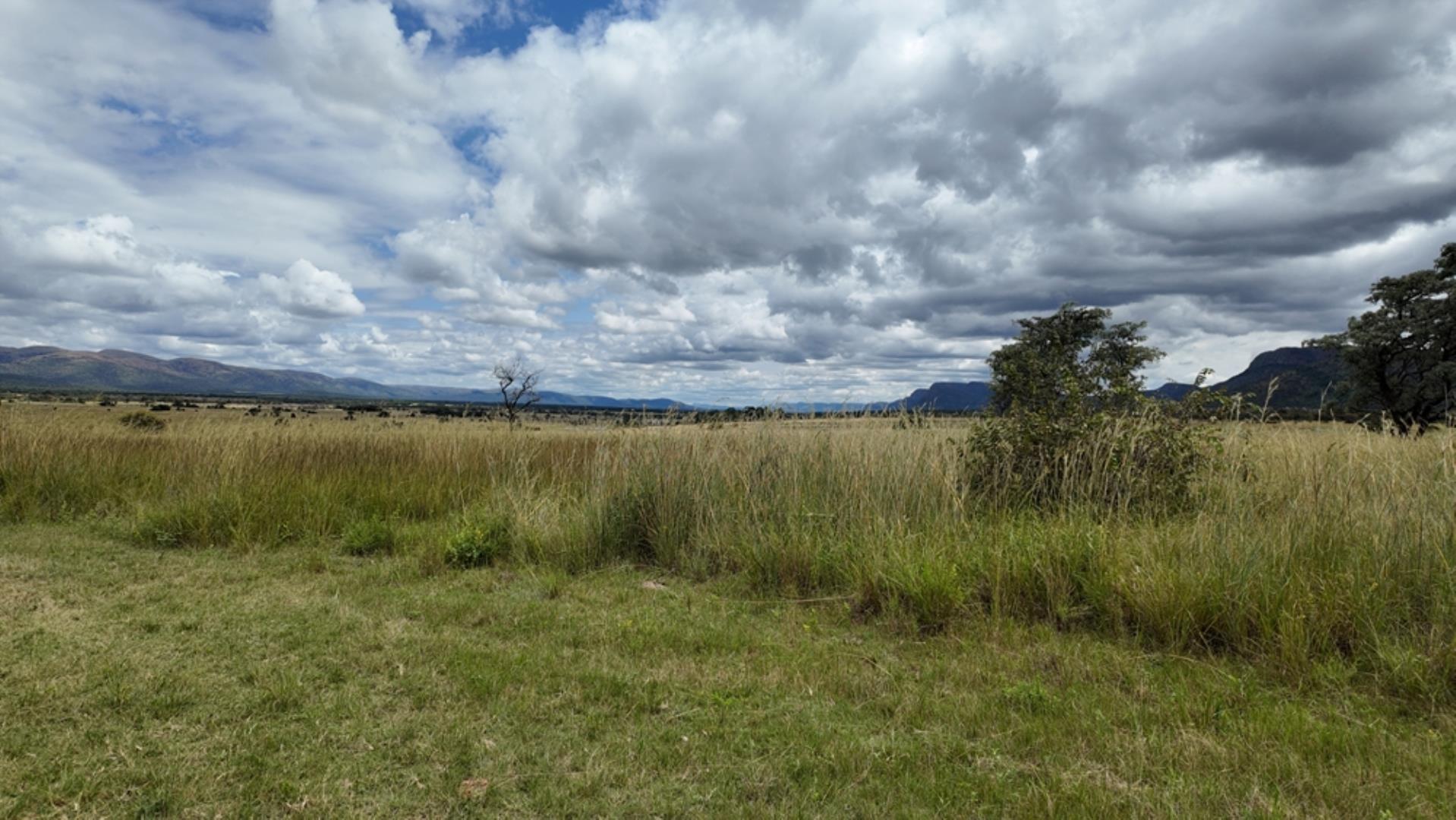 740697_Game_Farm_FOR_SALE_Naboomspruit_990ha_(67).jpeg