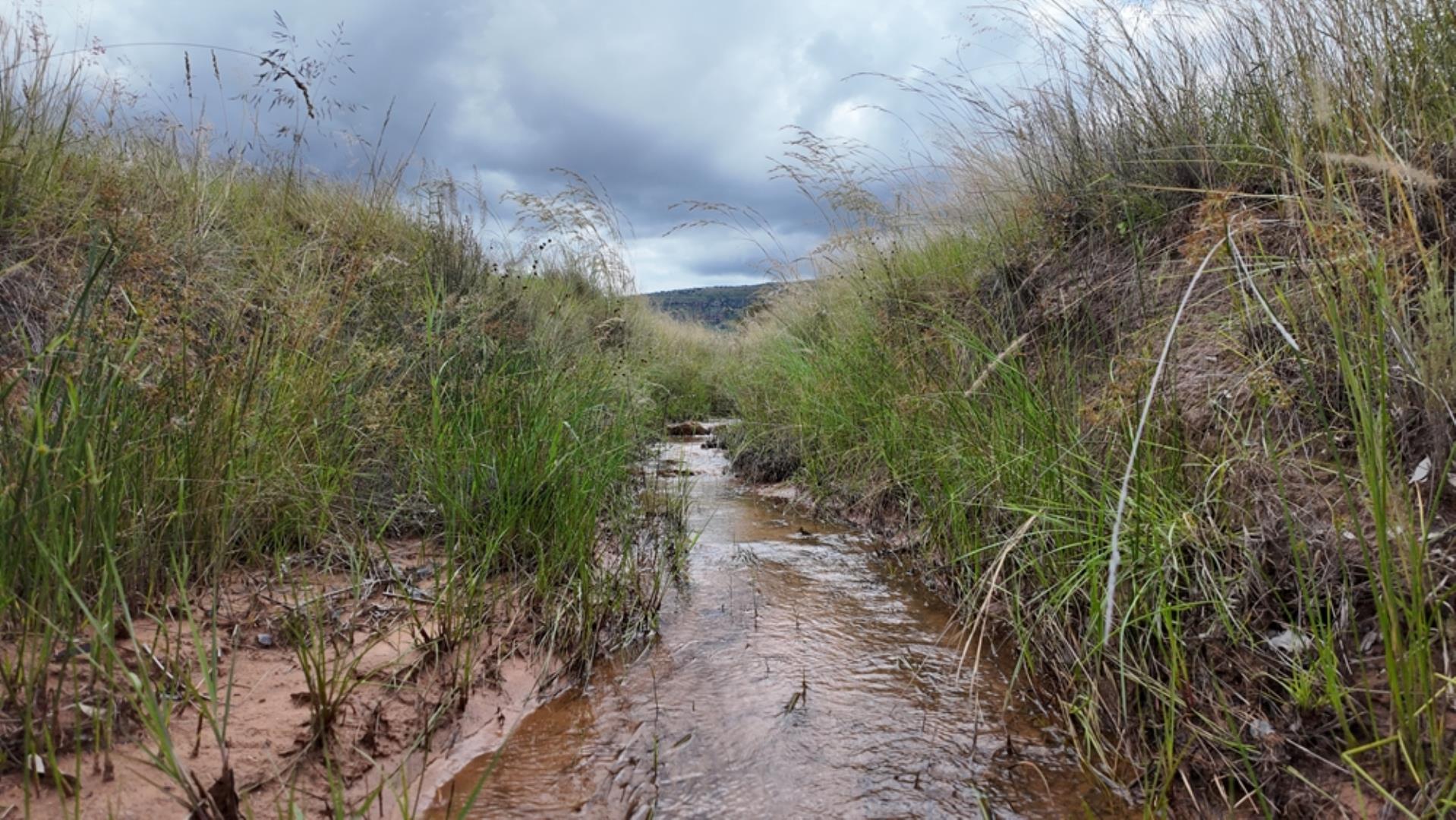 740697_Game_Farm_FOR_SALE_Naboomspruit_990ha_(69).jpeg