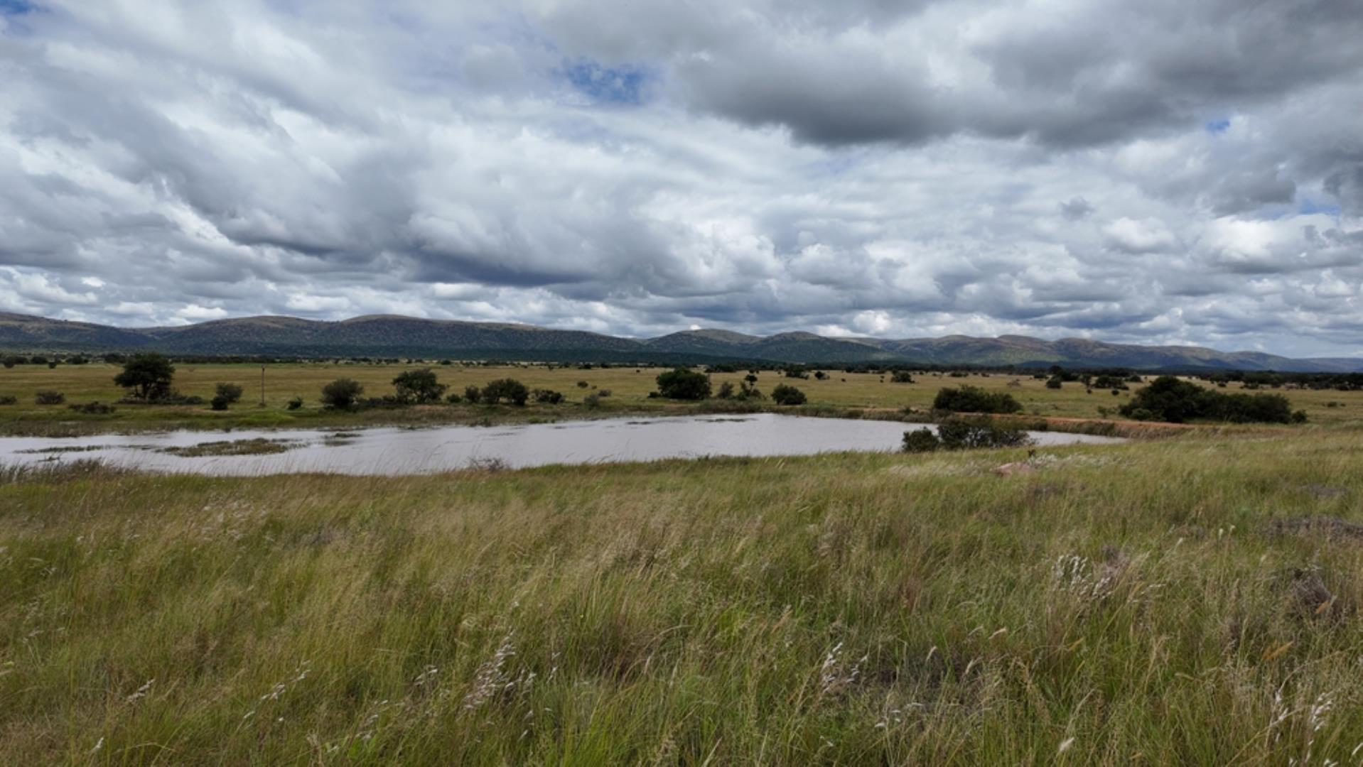 740697_Game_Farm_FOR_SALE_Naboomspruit_990ha_(70).jpeg