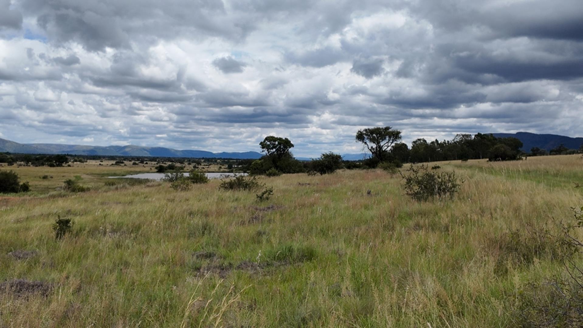 740697_Game_Farm_FOR_SALE_Naboomspruit_990ha_(71).jpeg