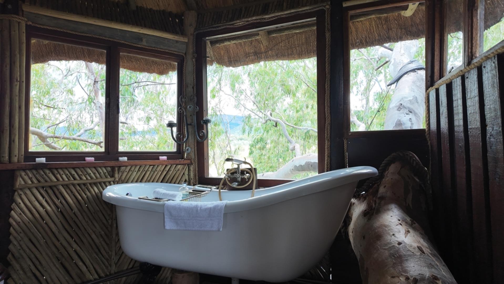 740697_Game_Farm_FOR_SALE_Naboomspruit_990ha_(77).jpeg