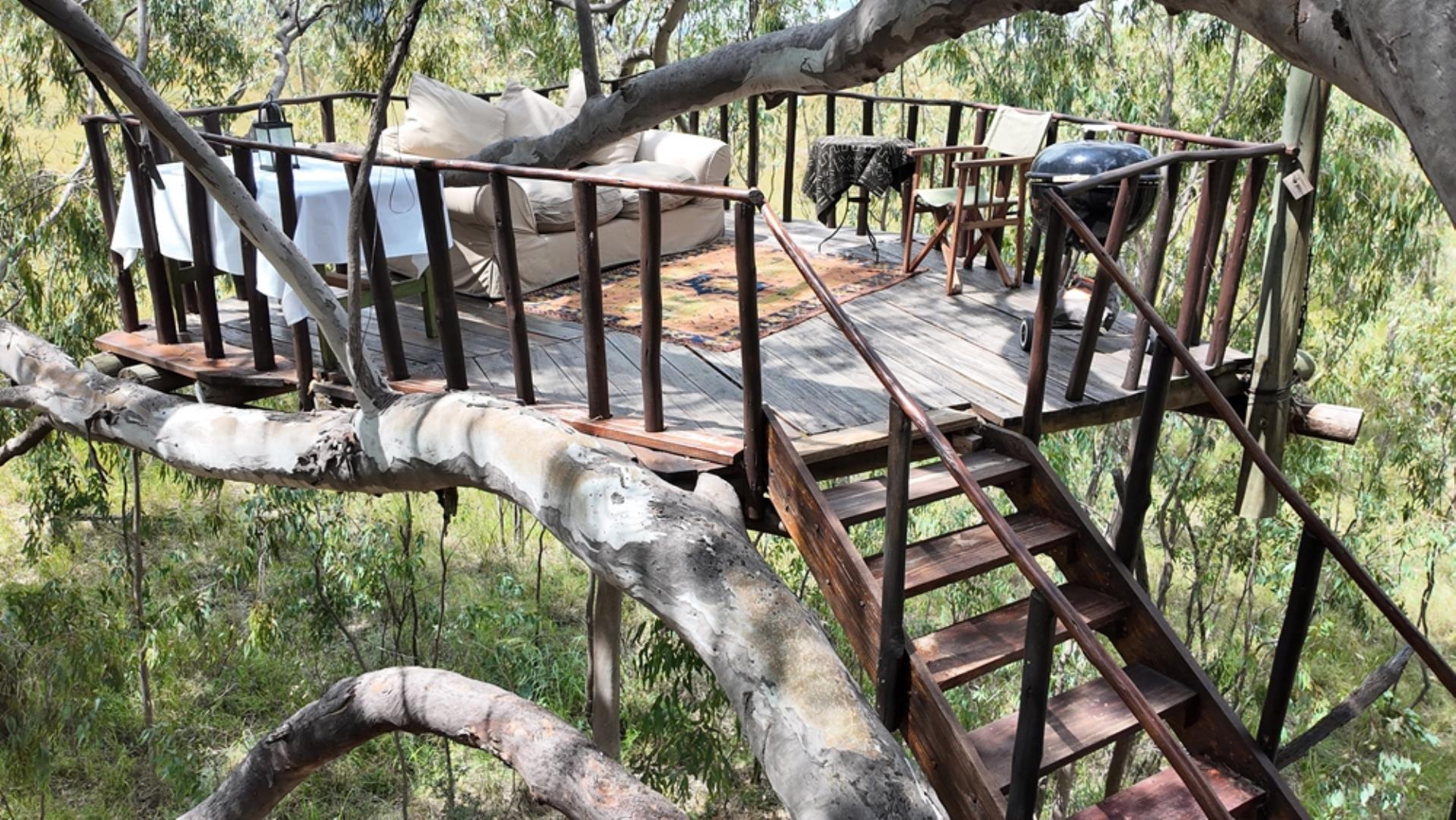 740697_Game_Farm_FOR_SALE_Naboomspruit_990ha_(82).jpeg