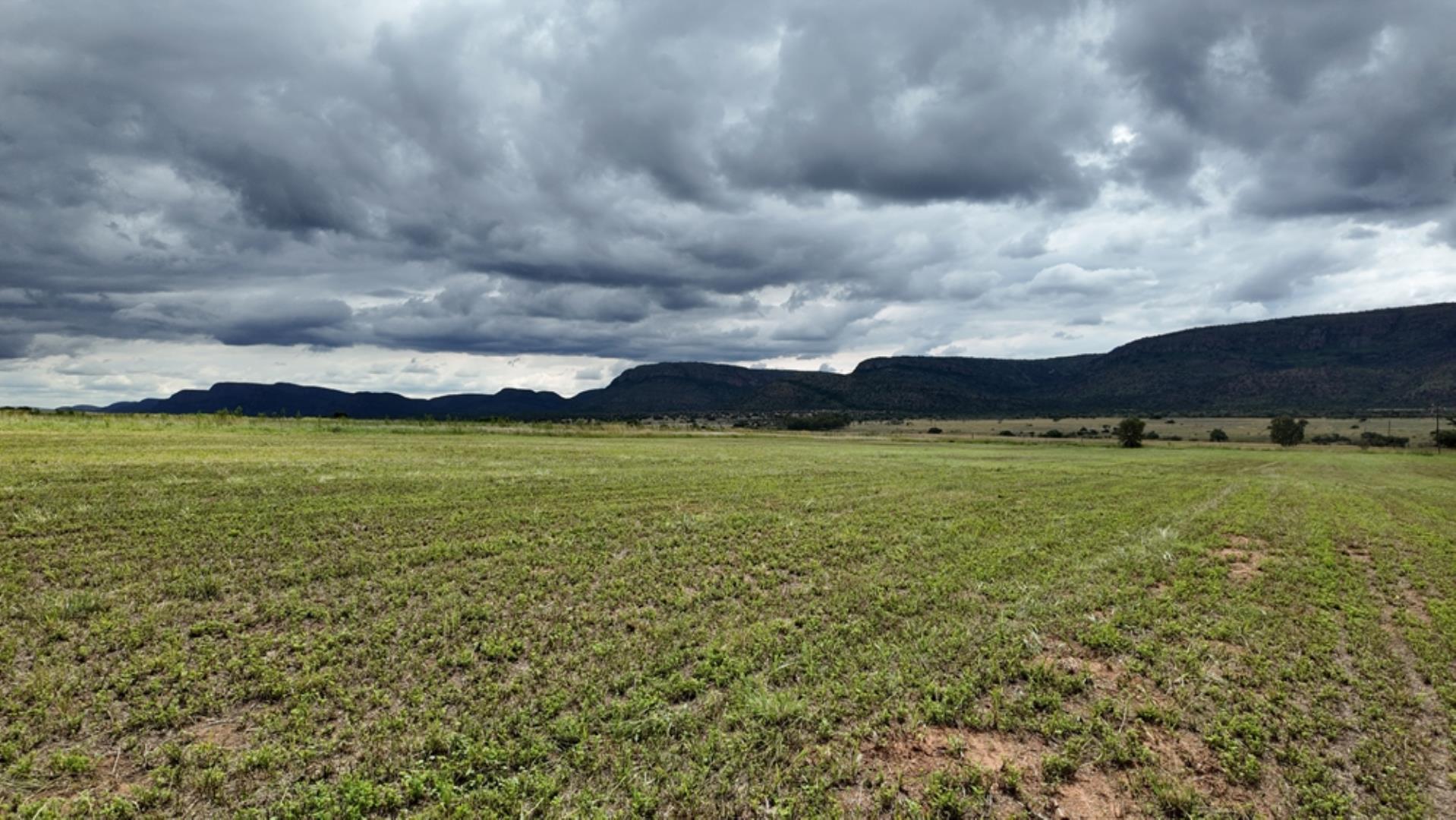 740697_Game_Farm_FOR_SALE_Naboomspruit_990ha_(86).jpeg