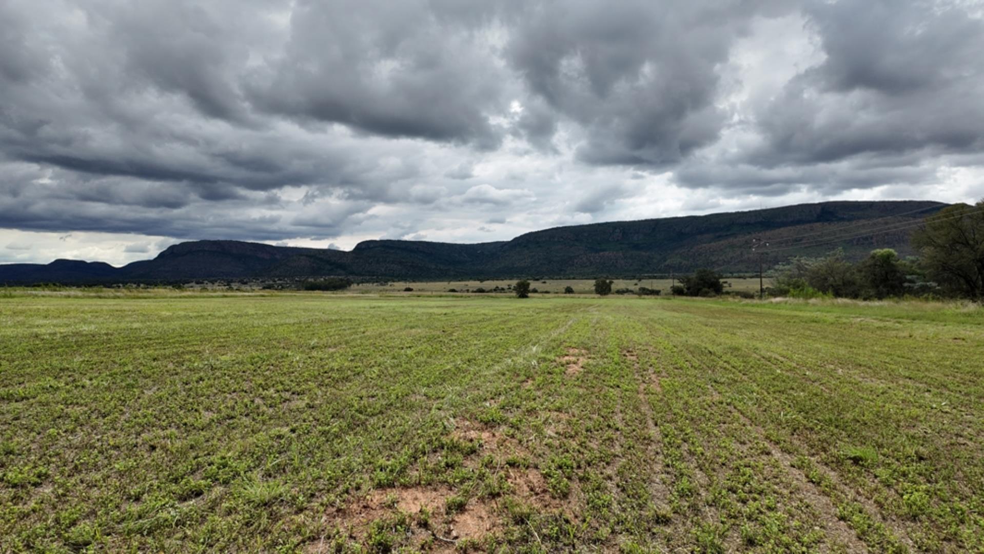 740697_Game_Farm_FOR_SALE_Naboomspruit_990ha_(87).jpeg