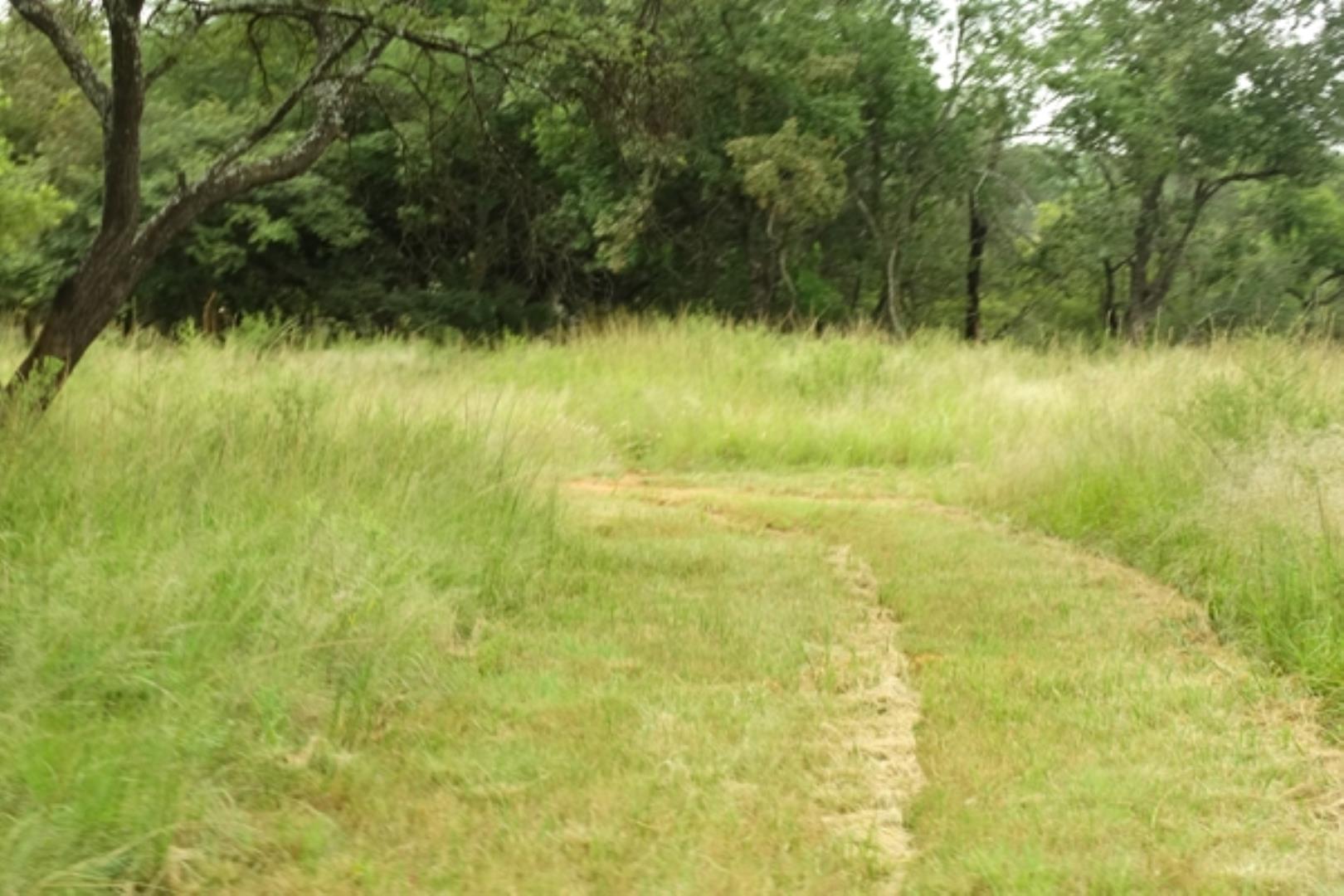 752871_105.jpg