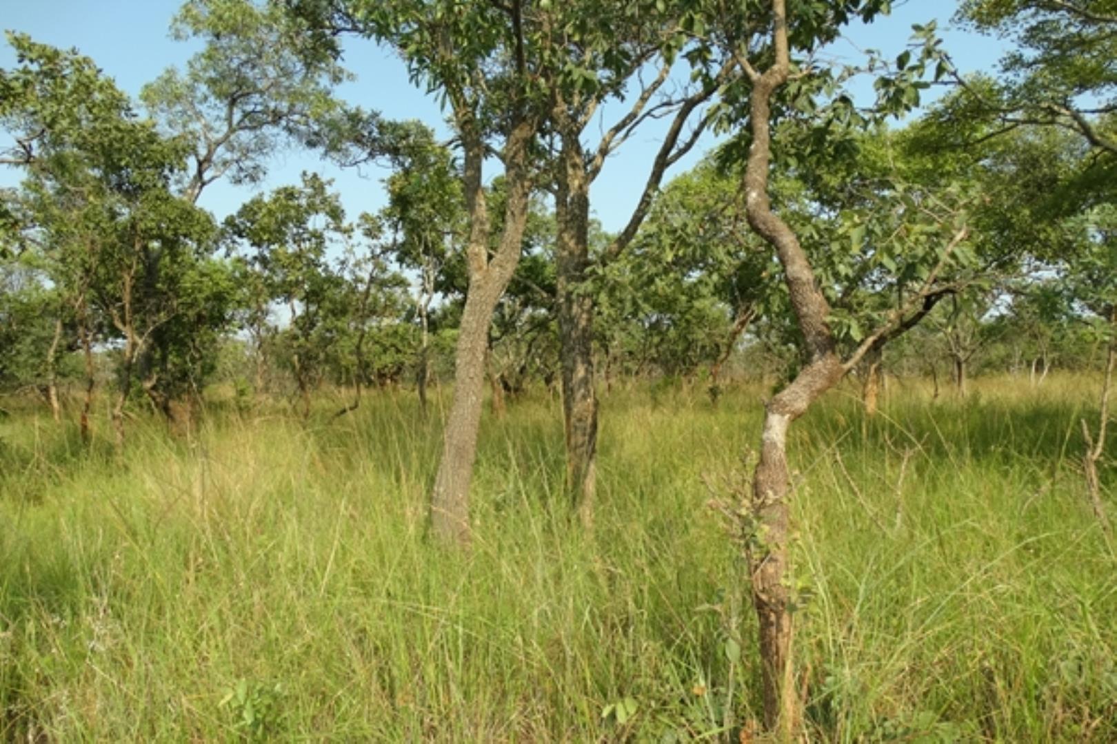 752871_87.jpg