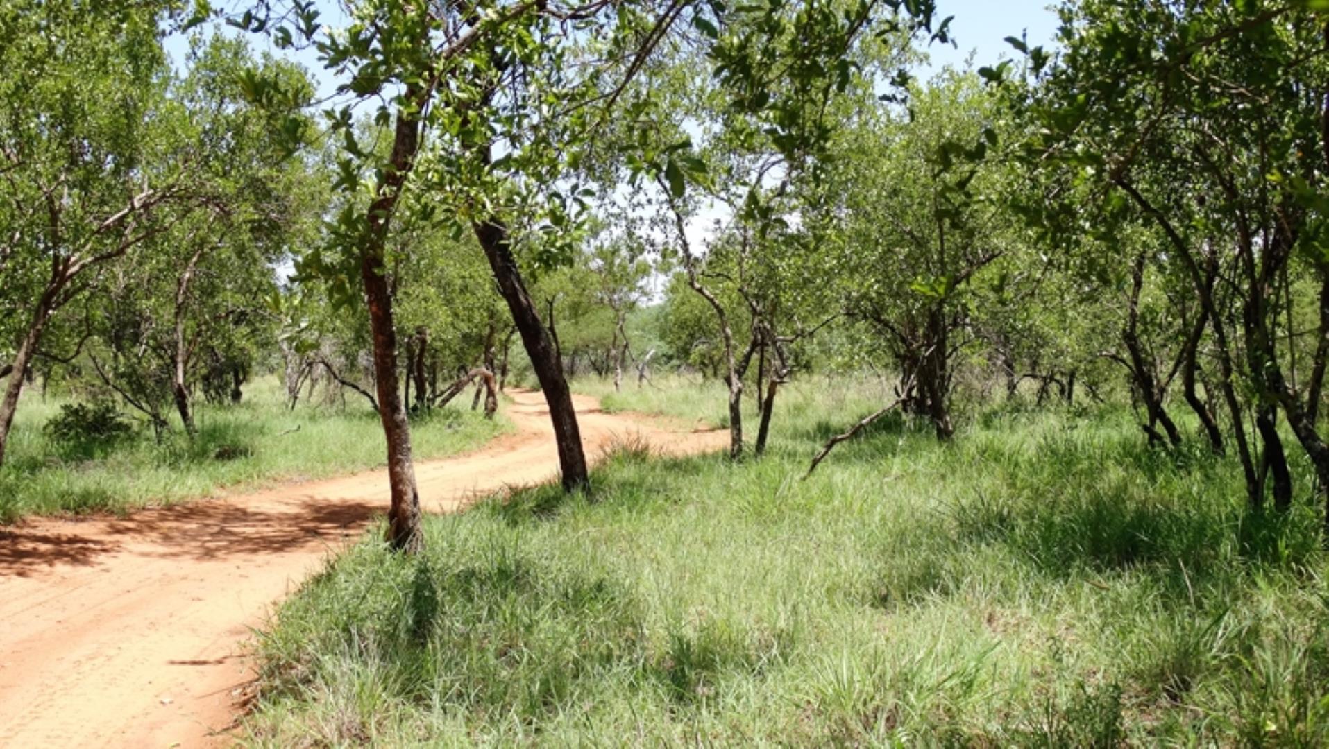 752880_42.jpg
