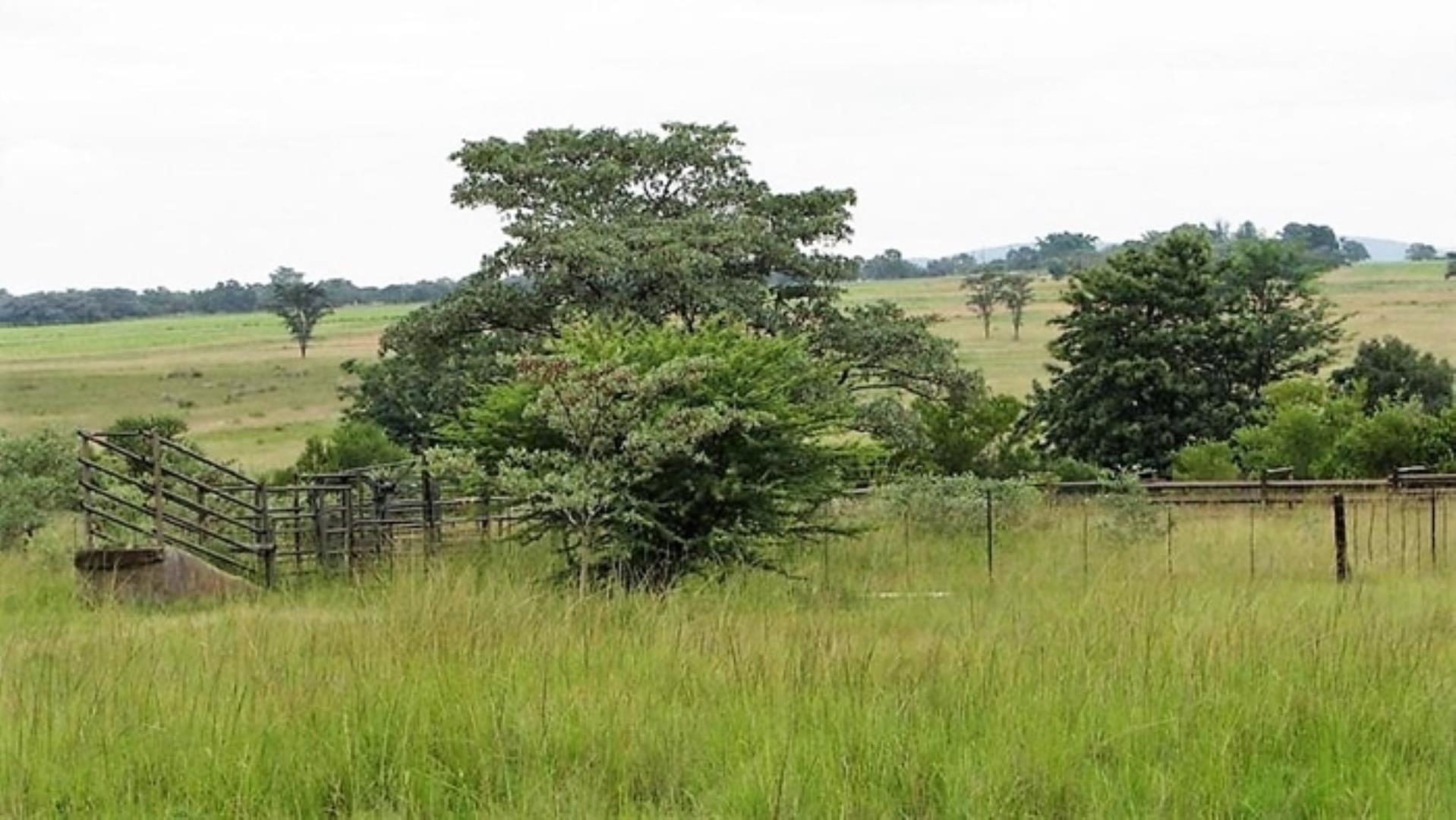 752881_54.jpg