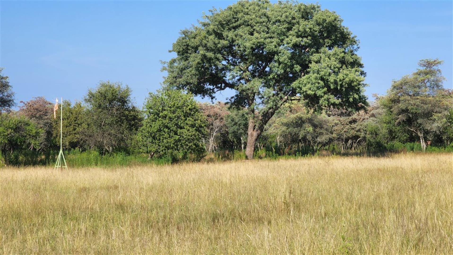 753021_16.jpg