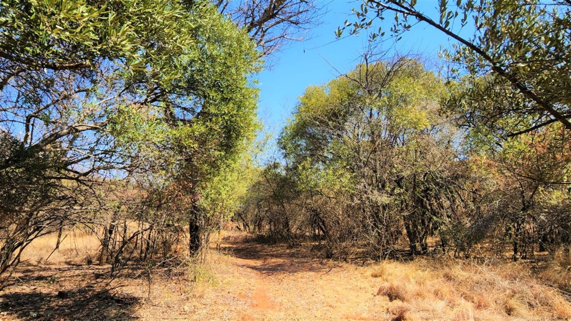 753152_43.jpg