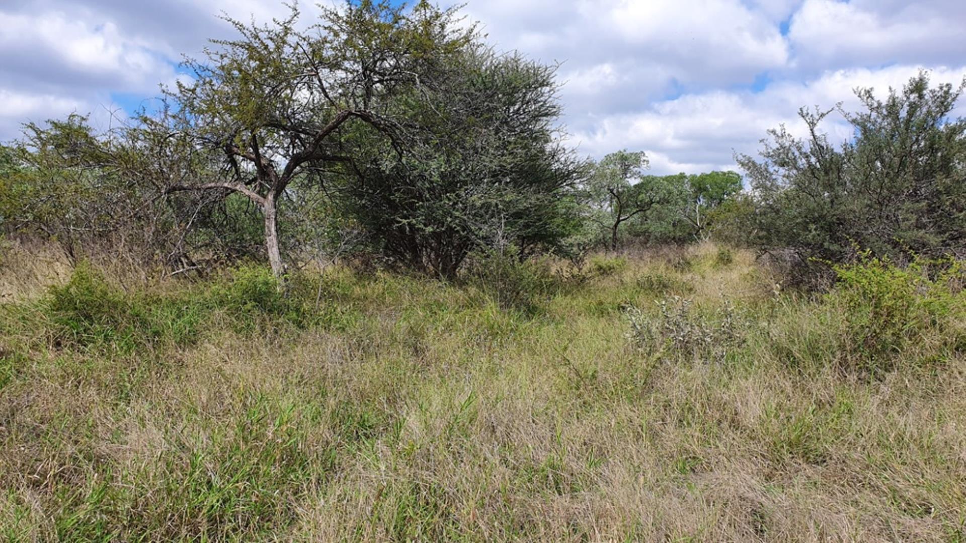 753166_1054ha_Luxurious_Game_Farm_For_Sale_Marken_Area__South_Africa_(6).jpg