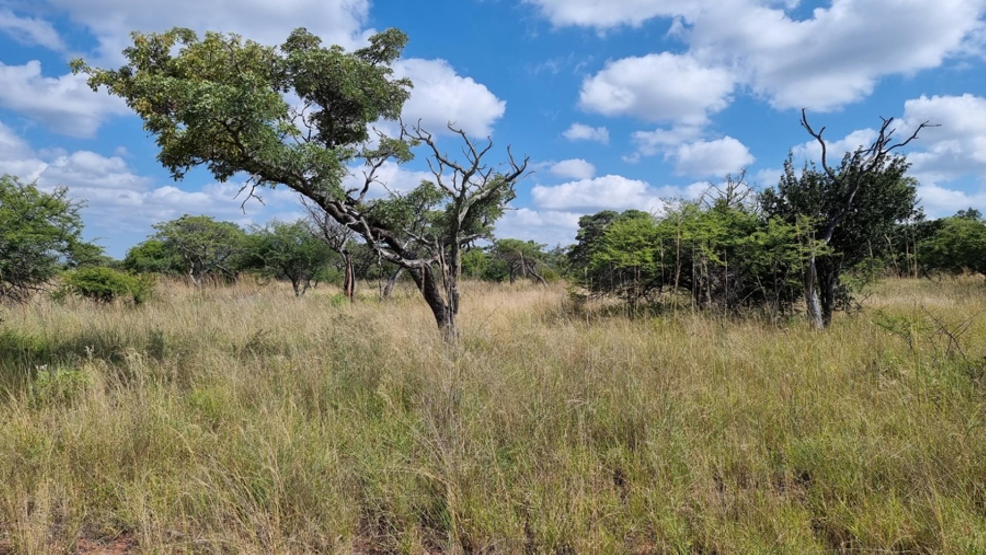 753295_772ha_Cattle_and_Game_Farm_Combination_Farm_for_Sale_Springbokflats_(1).jpg