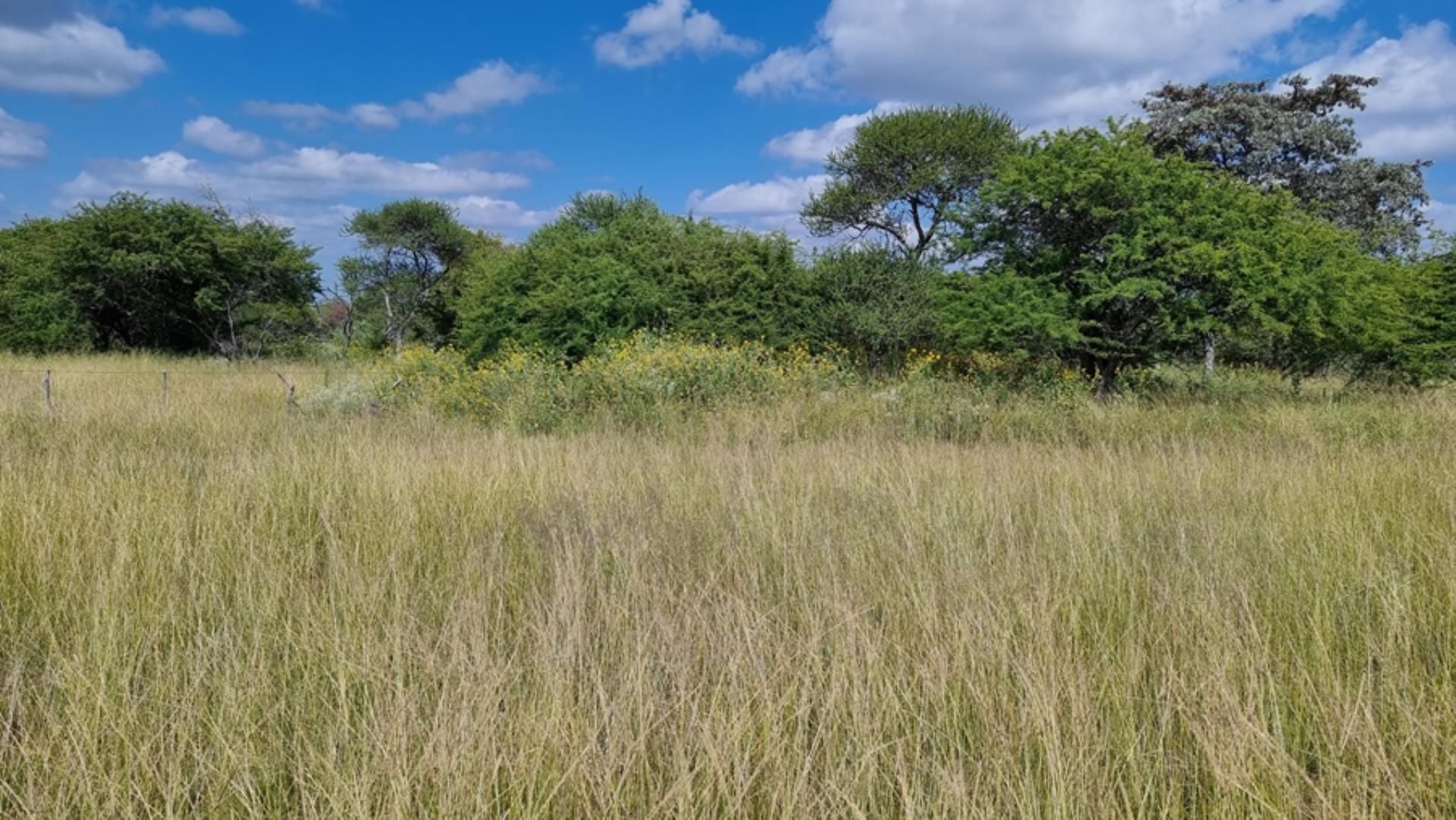 753295_772ha_Cattle_and_Game_Farm_Combination_Farm_for_Sale_Springbokflats_(10).jpg