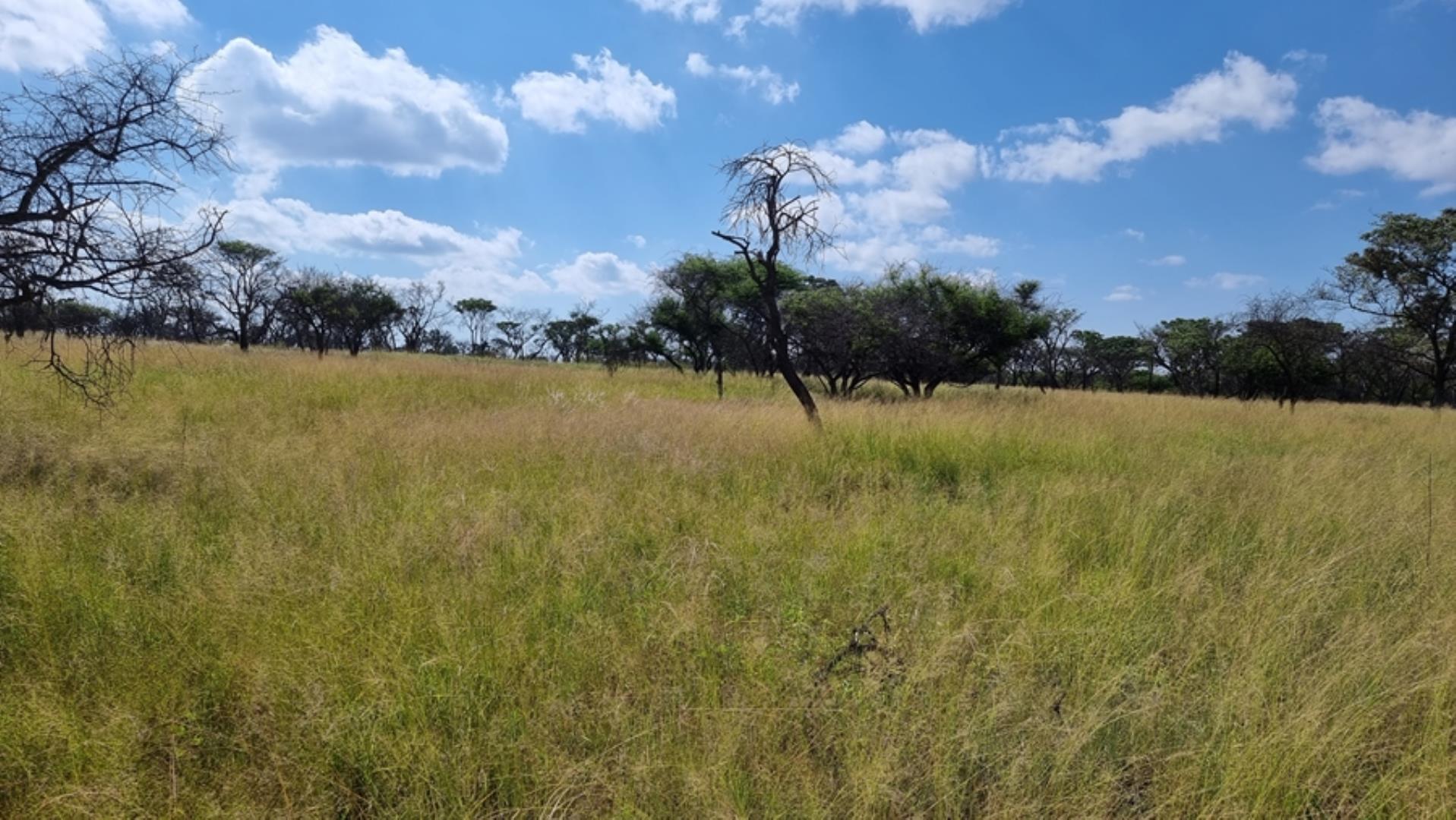 753295_772ha_Cattle_and_Game_Farm_Combination_Farm_for_Sale_Springbokflats_(12).jpg