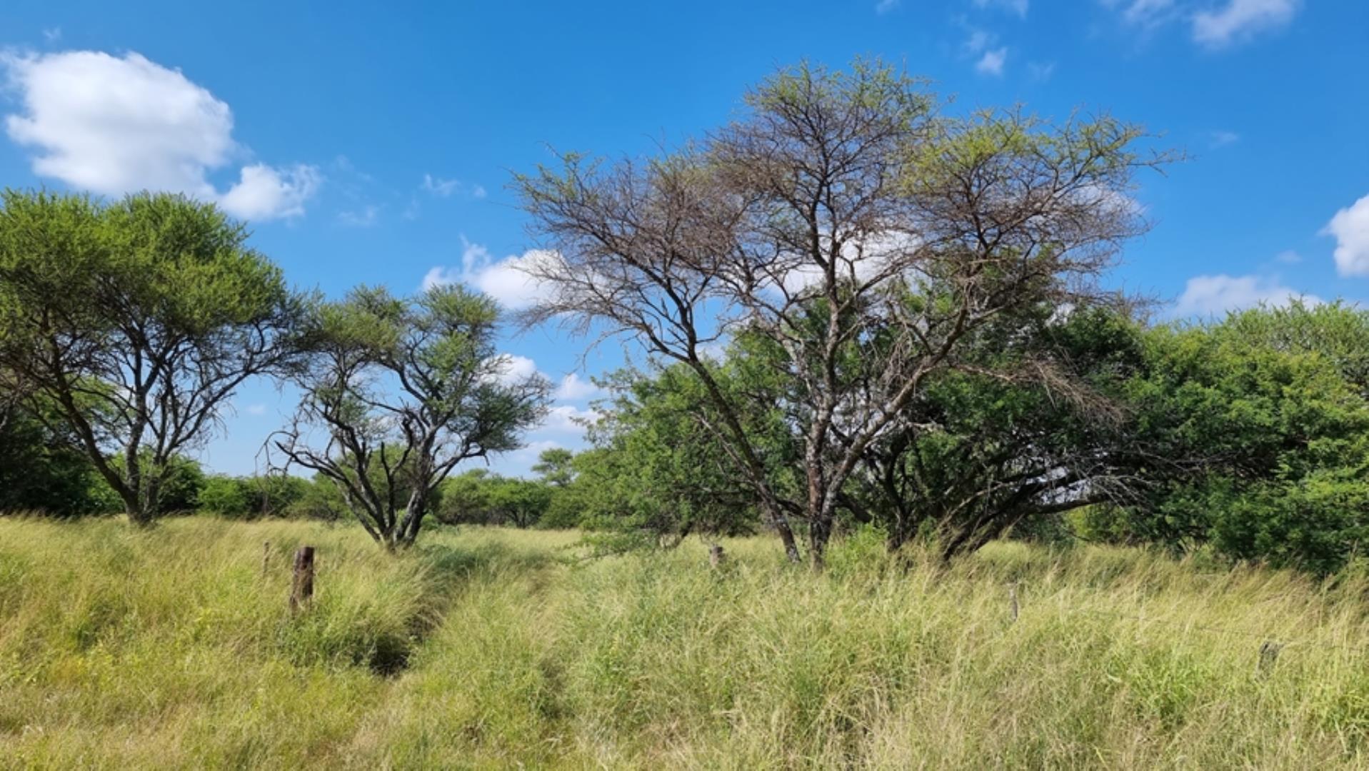 753295_772ha_Cattle_and_Game_Farm_Combination_Farm_for_Sale_Springbokflats_(13).jpg