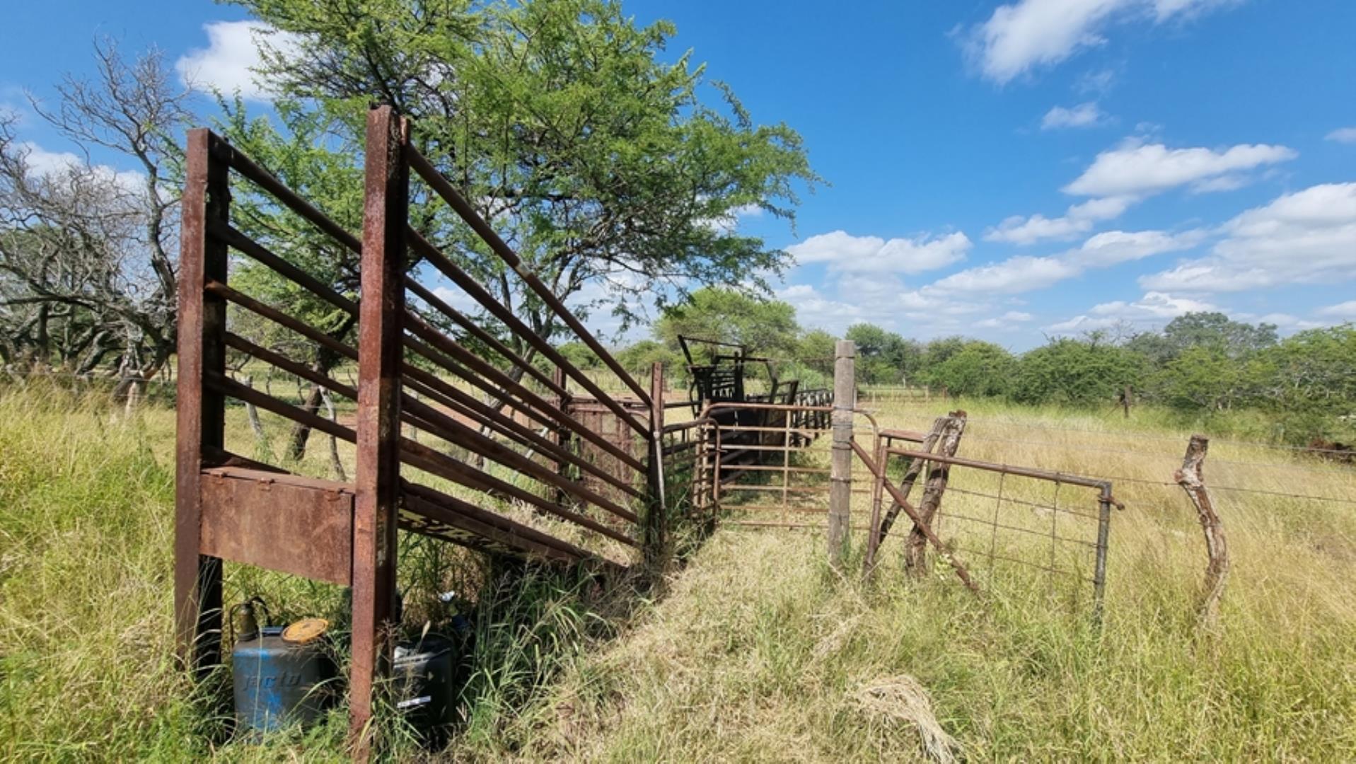753295_772ha_Cattle_and_Game_Farm_Combination_Farm_for_Sale_Springbokflats_(14).jpg