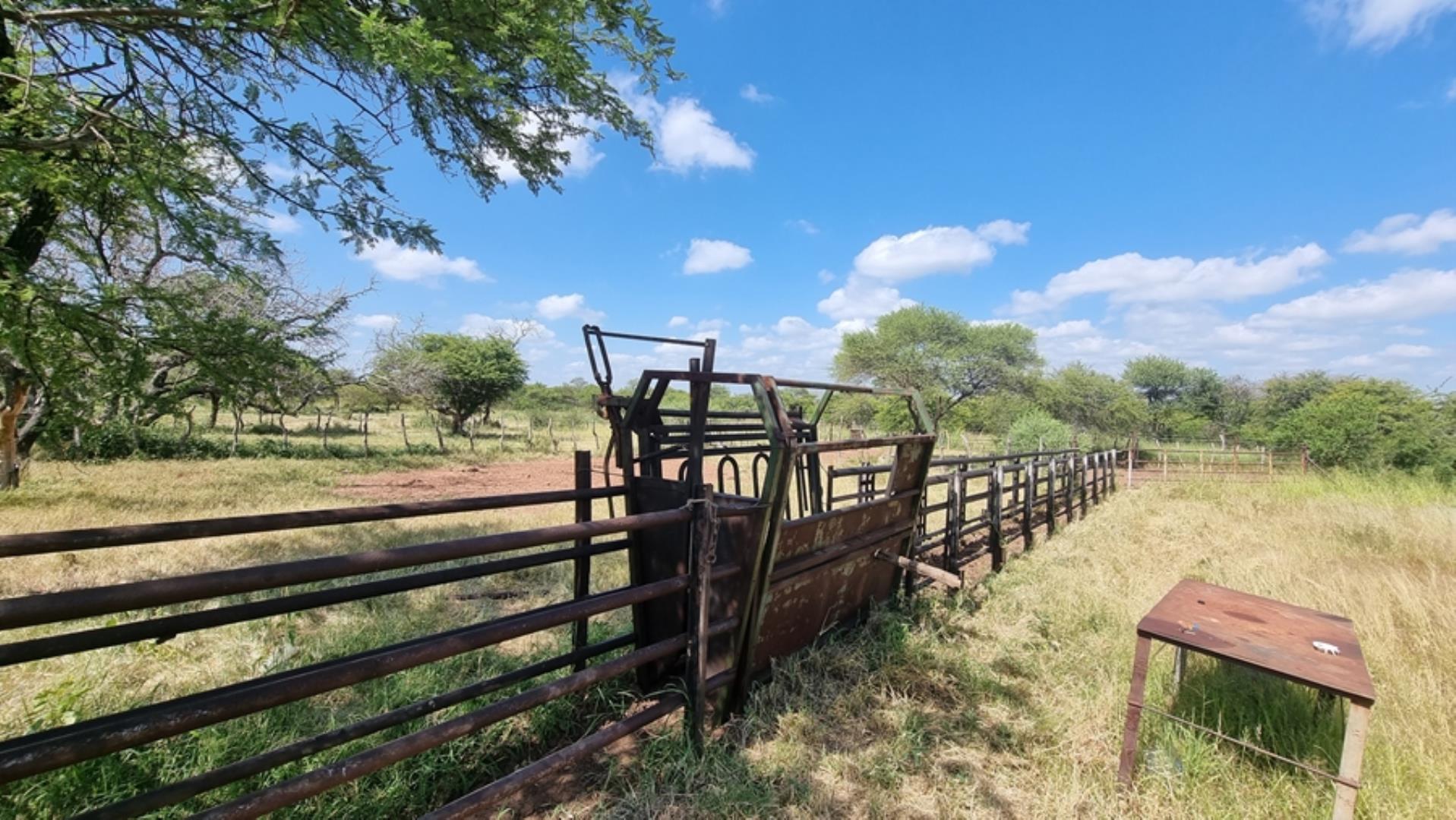 753295_772ha_Cattle_and_Game_Farm_Combination_Farm_for_Sale_Springbokflats_(15).jpg