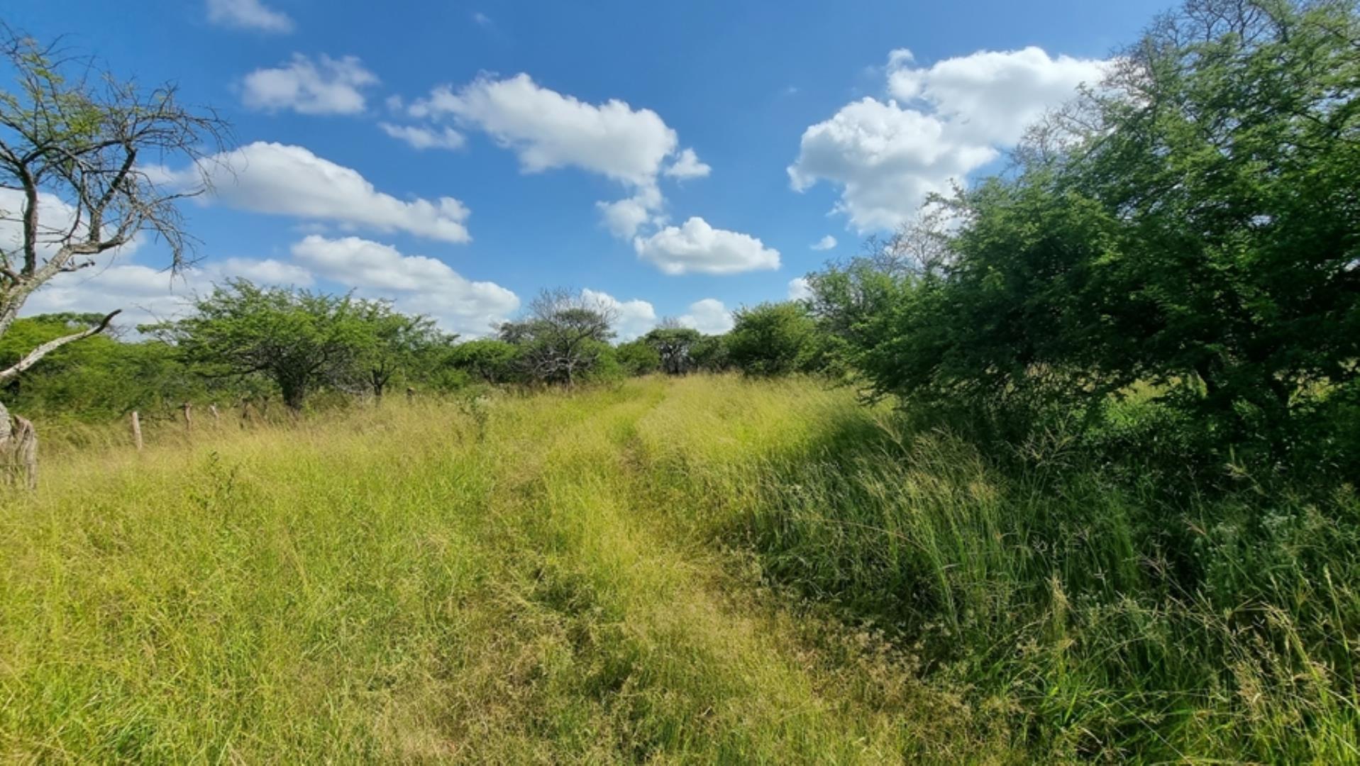 753295_772ha_Cattle_and_Game_Farm_Combination_Farm_for_Sale_Springbokflats_(16).jpg