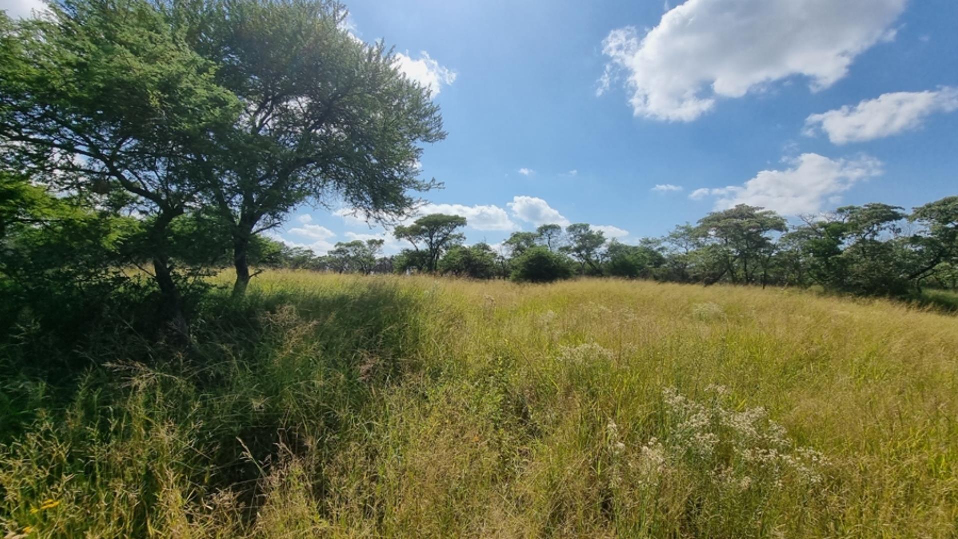 753295_772ha_Cattle_and_Game_Farm_Combination_Farm_for_Sale_Springbokflats_(17).jpg