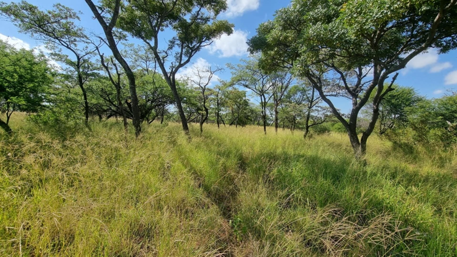 753295_772ha_Cattle_and_Game_Farm_Combination_Farm_for_Sale_Springbokflats_(18).jpg