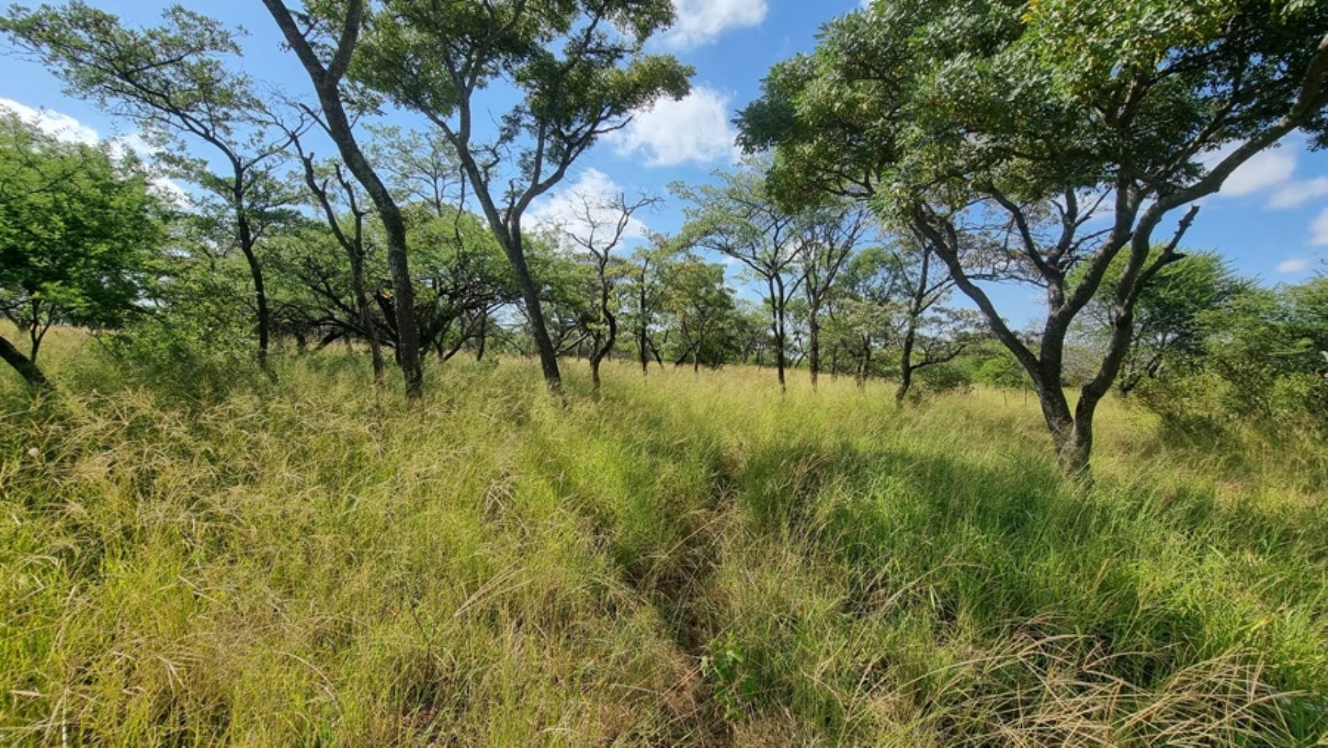 753295_772ha_Cattle_and_Game_Farm_Combination_Farm_for_Sale_Springbokflats_(19).jpg