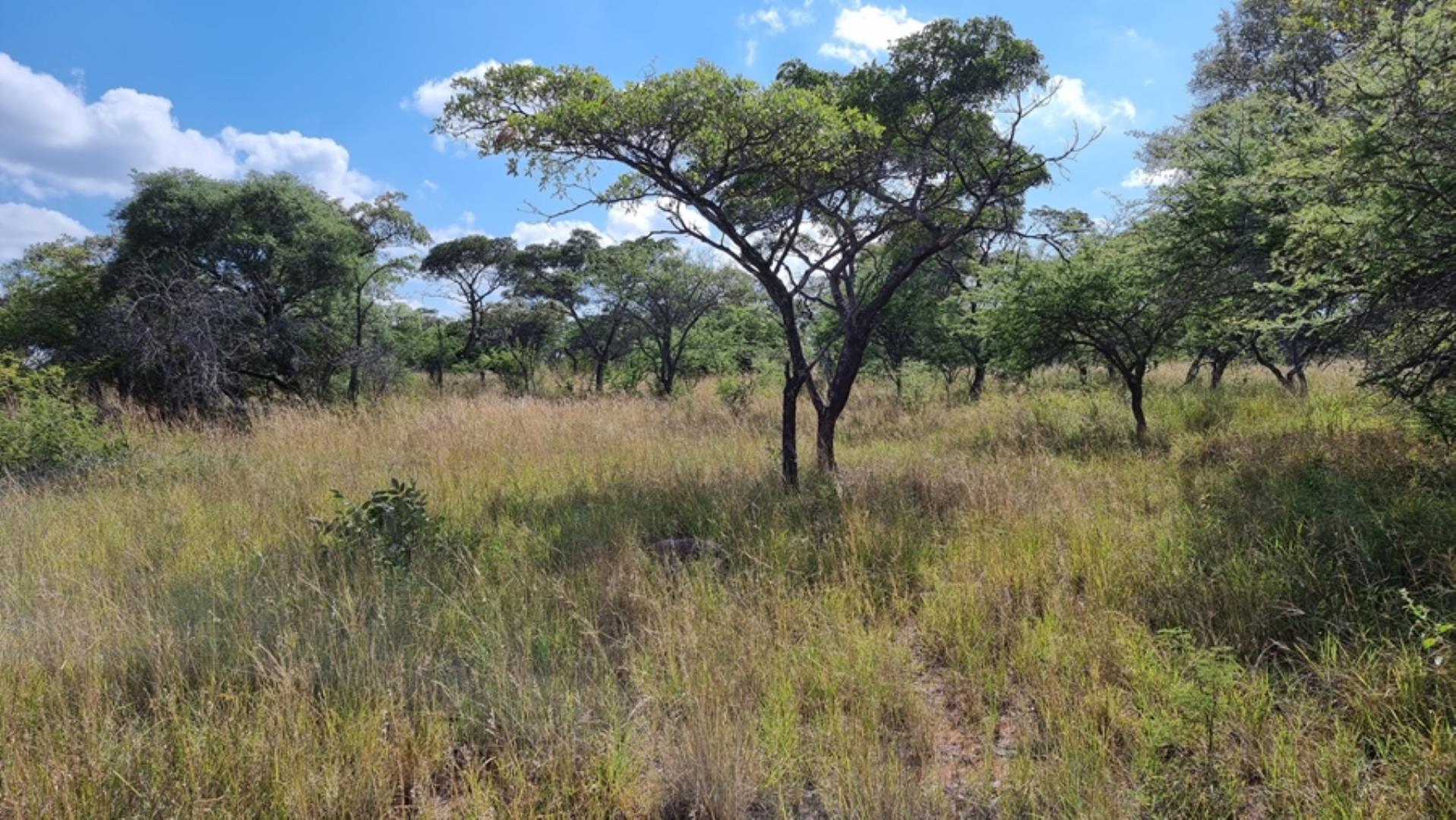 753295_772ha_Cattle_and_Game_Farm_Combination_Farm_for_Sale_Springbokflats_(2).jpg