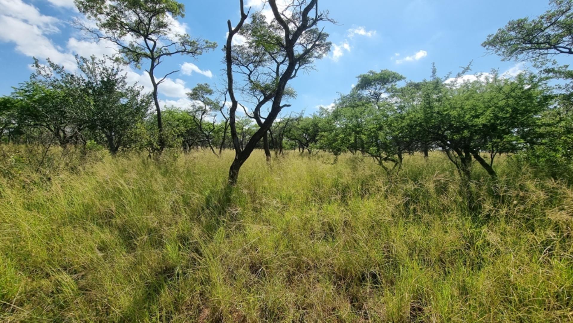 753295_772ha_Cattle_and_Game_Farm_Combination_Farm_for_Sale_Springbokflats_(20).jpg
