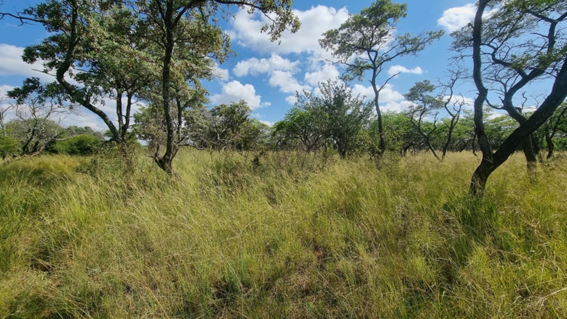 753295_772ha_Cattle_and_Game_Farm_Combination_Farm_for_Sale_Springbokflats_(21).jpg
