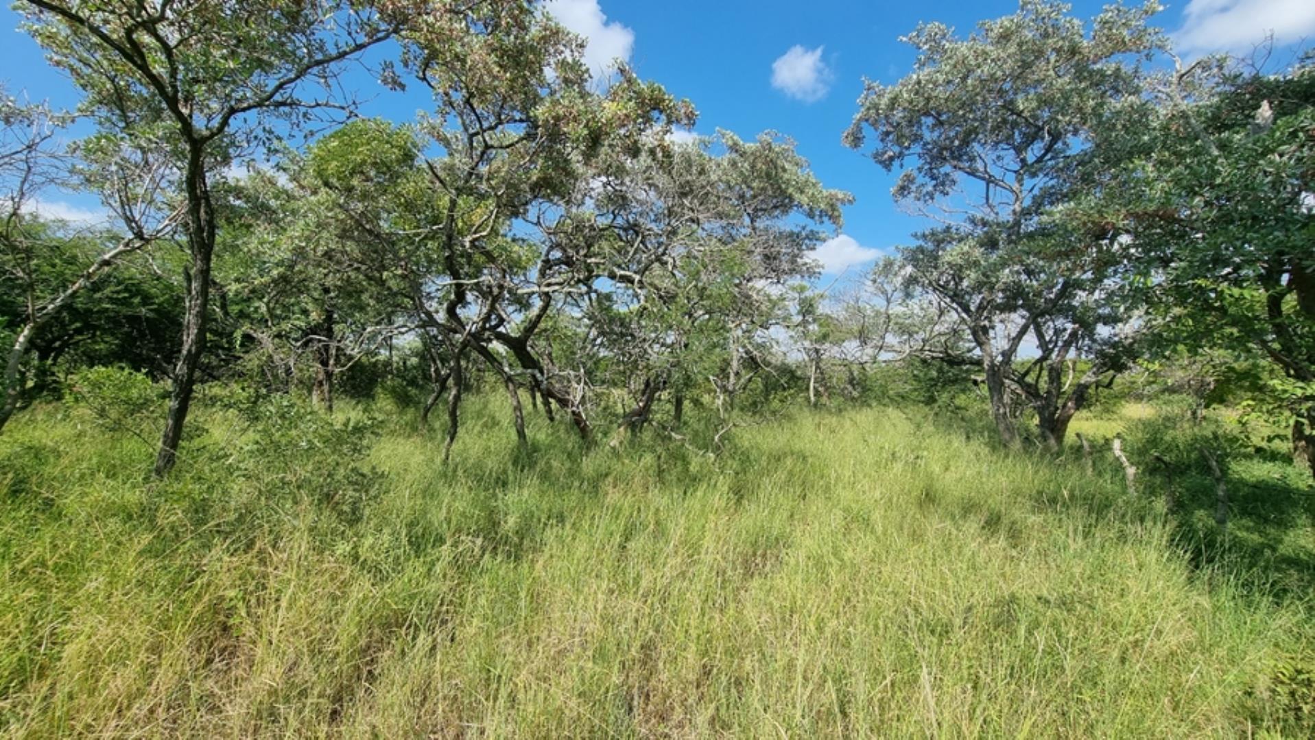 753295_772ha_Cattle_and_Game_Farm_Combination_Farm_for_Sale_Springbokflats_(22).jpg