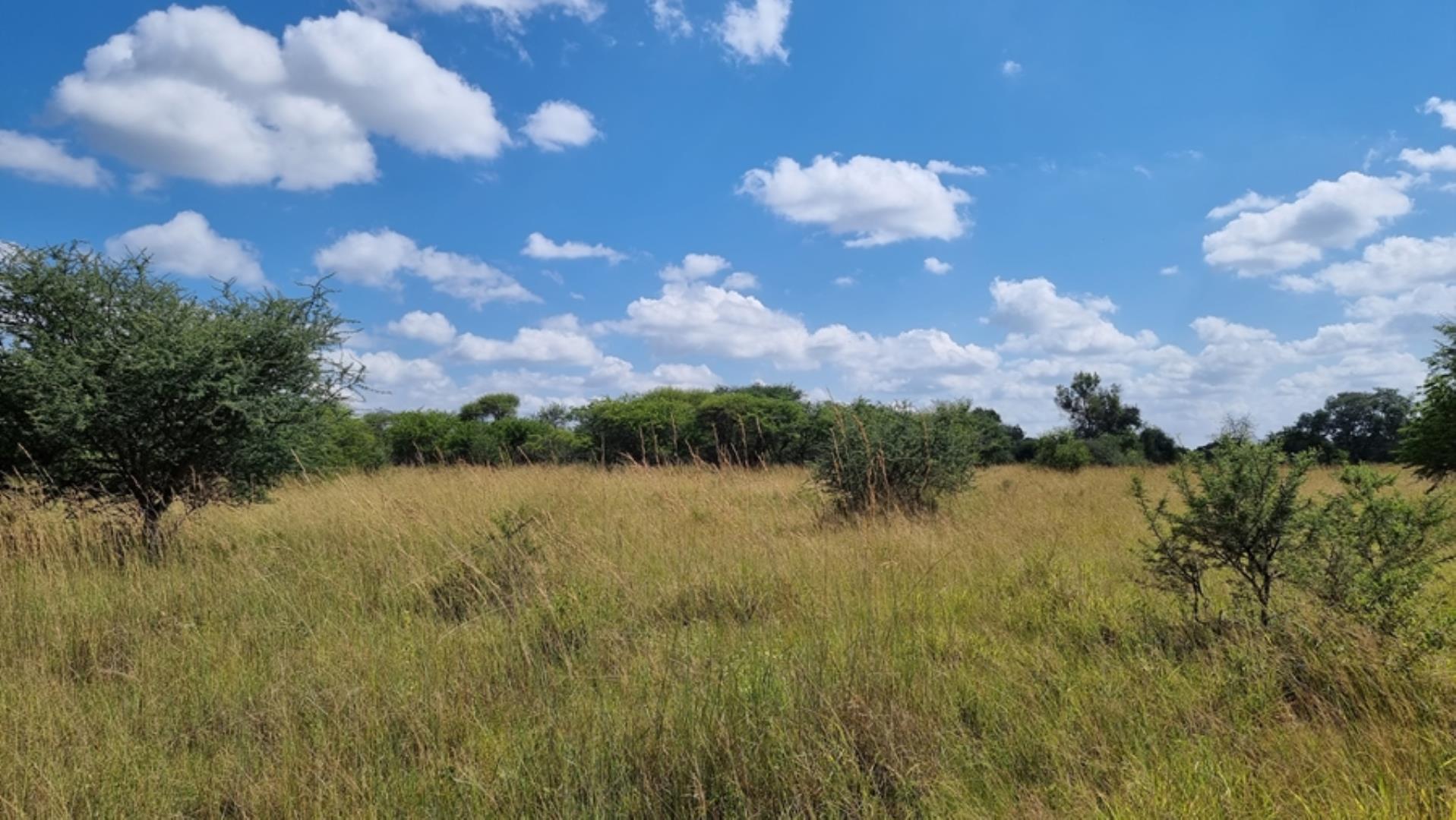 753295_772ha_Cattle_and_Game_Farm_Combination_Farm_for_Sale_Springbokflats_(23).jpg