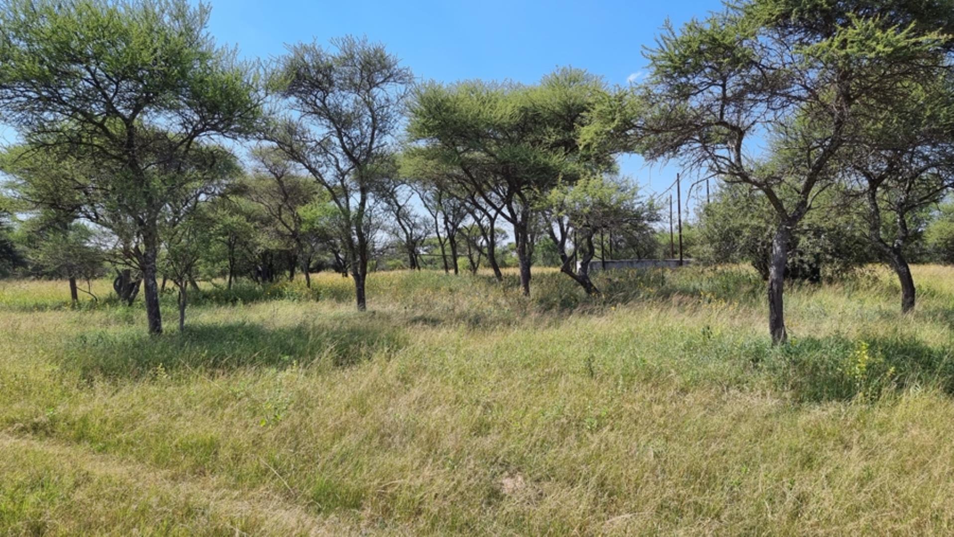753295_772ha_Cattle_and_Game_Farm_Combination_Farm_for_Sale_Springbokflats_(24).jpg