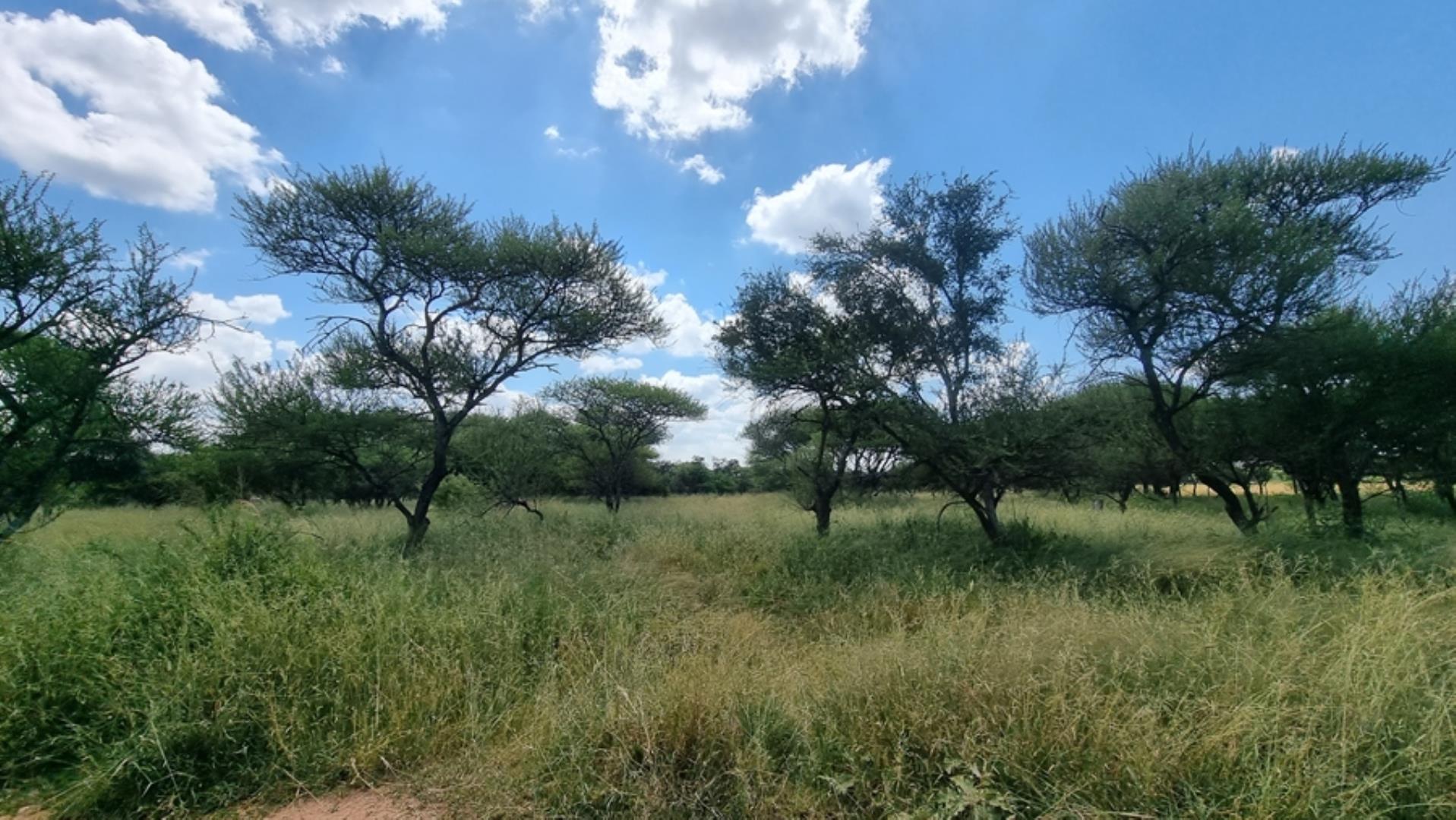 753295_772ha_Cattle_and_Game_Farm_Combination_Farm_for_Sale_Springbokflats_(28).jpg