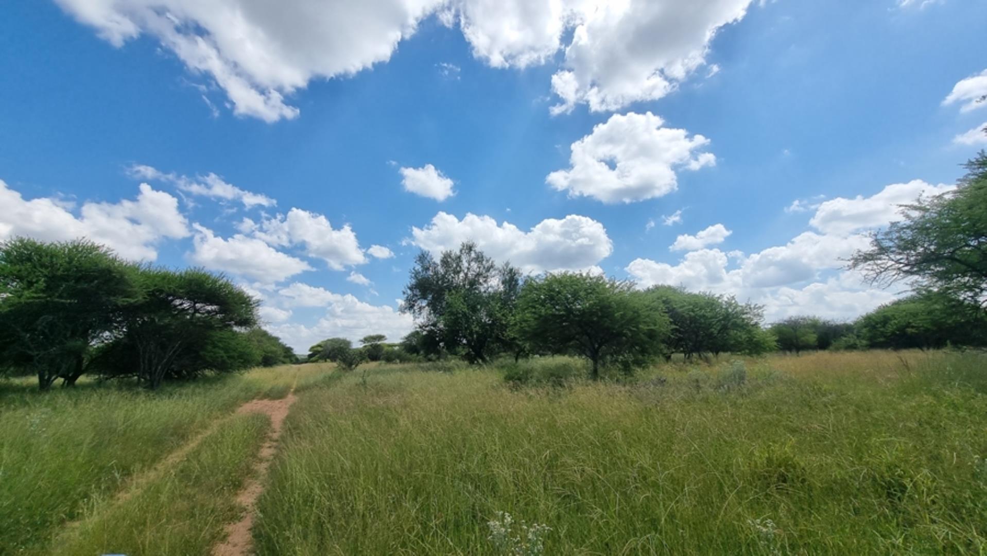753295_772ha_Cattle_and_Game_Farm_Combination_Farm_for_Sale_Springbokflats_(30).jpg